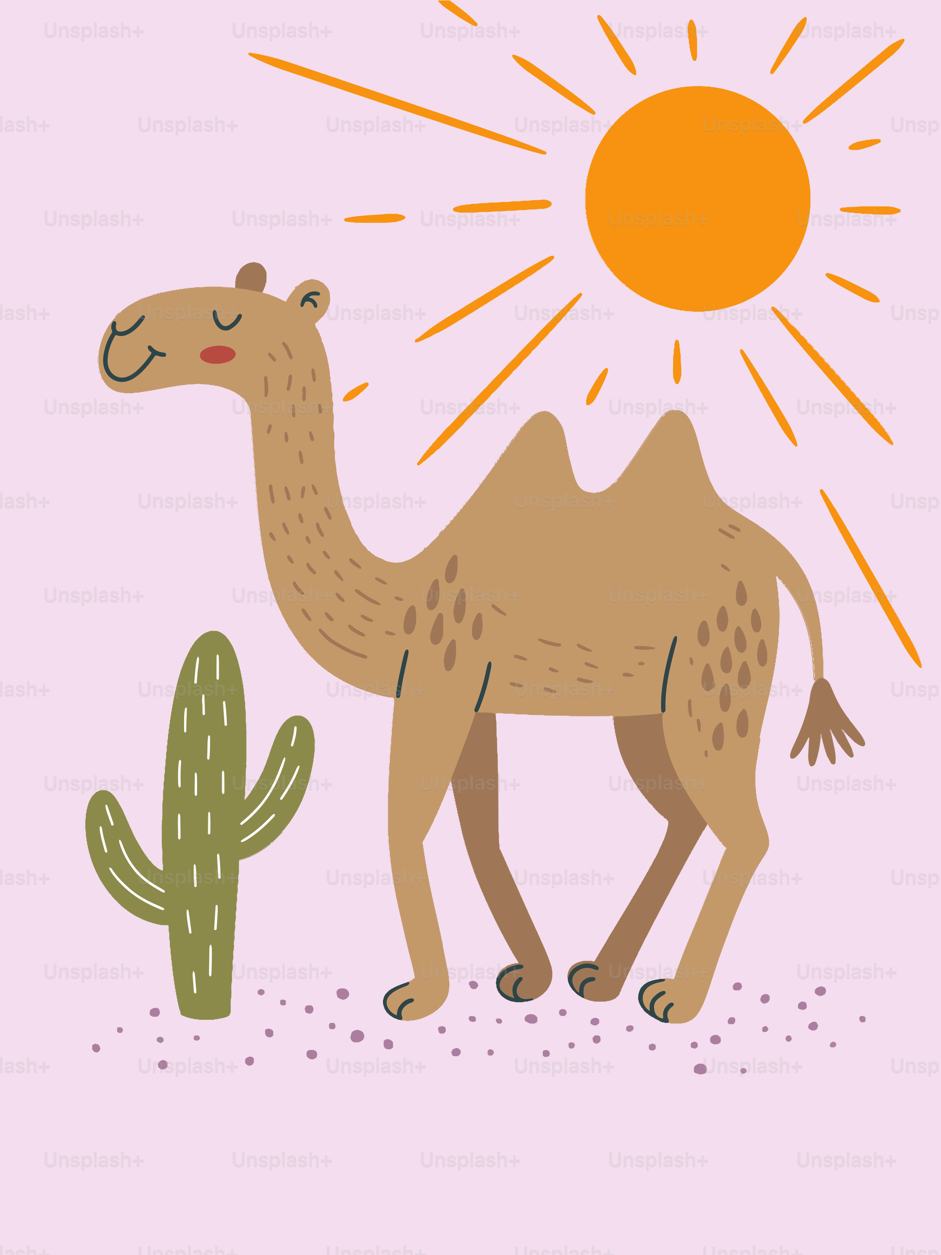 A camel stands in the desert with the sun.