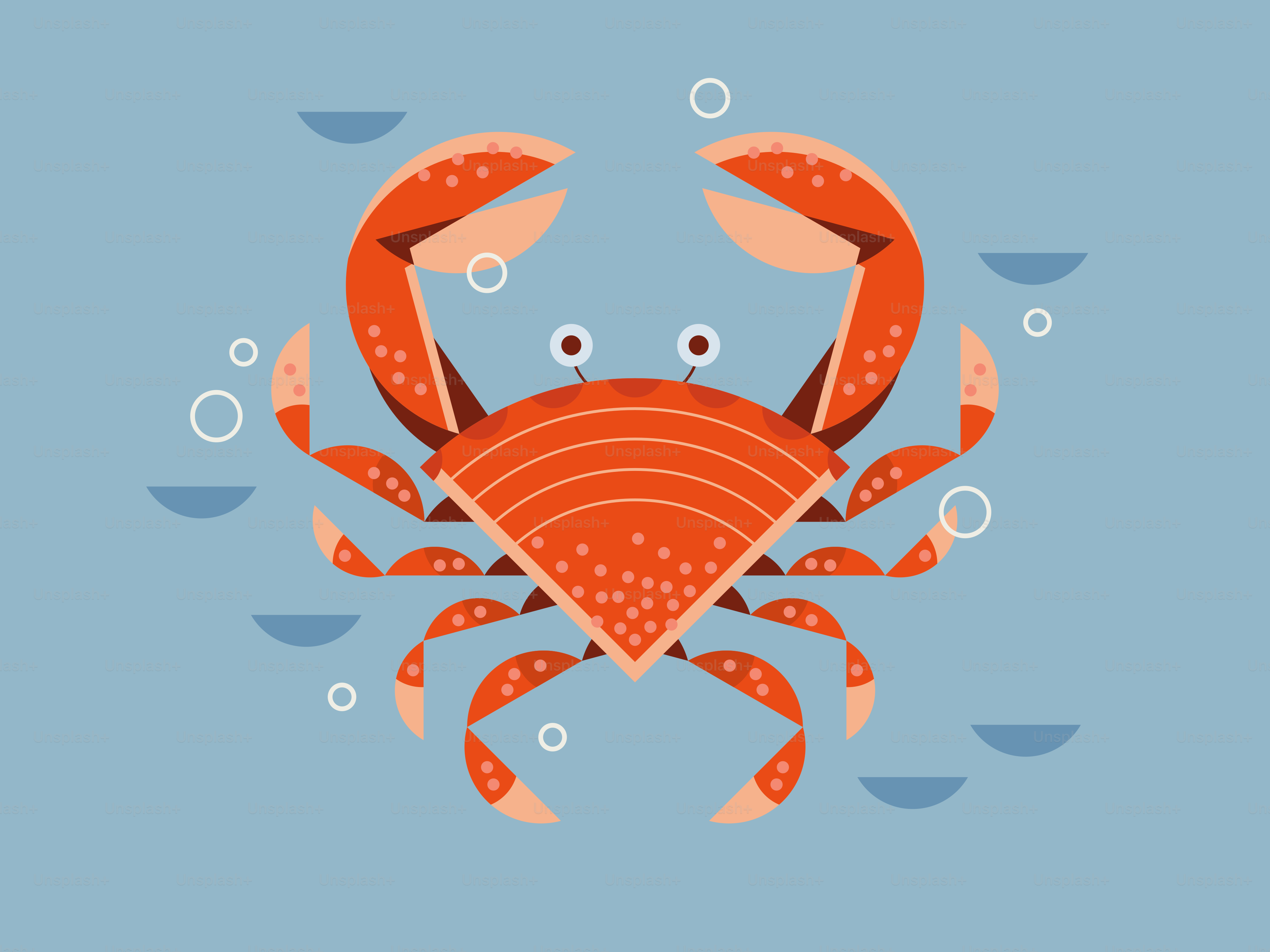 Un cangrejo de dibujos animados está rodeado de burbujas.