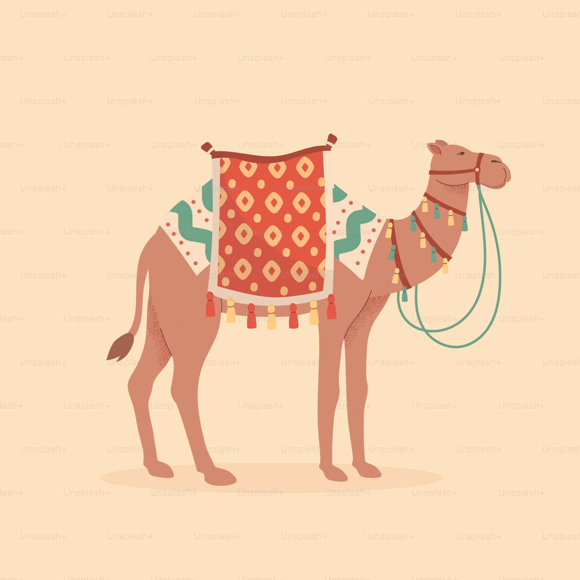 A decorated camel stands ready to travel.