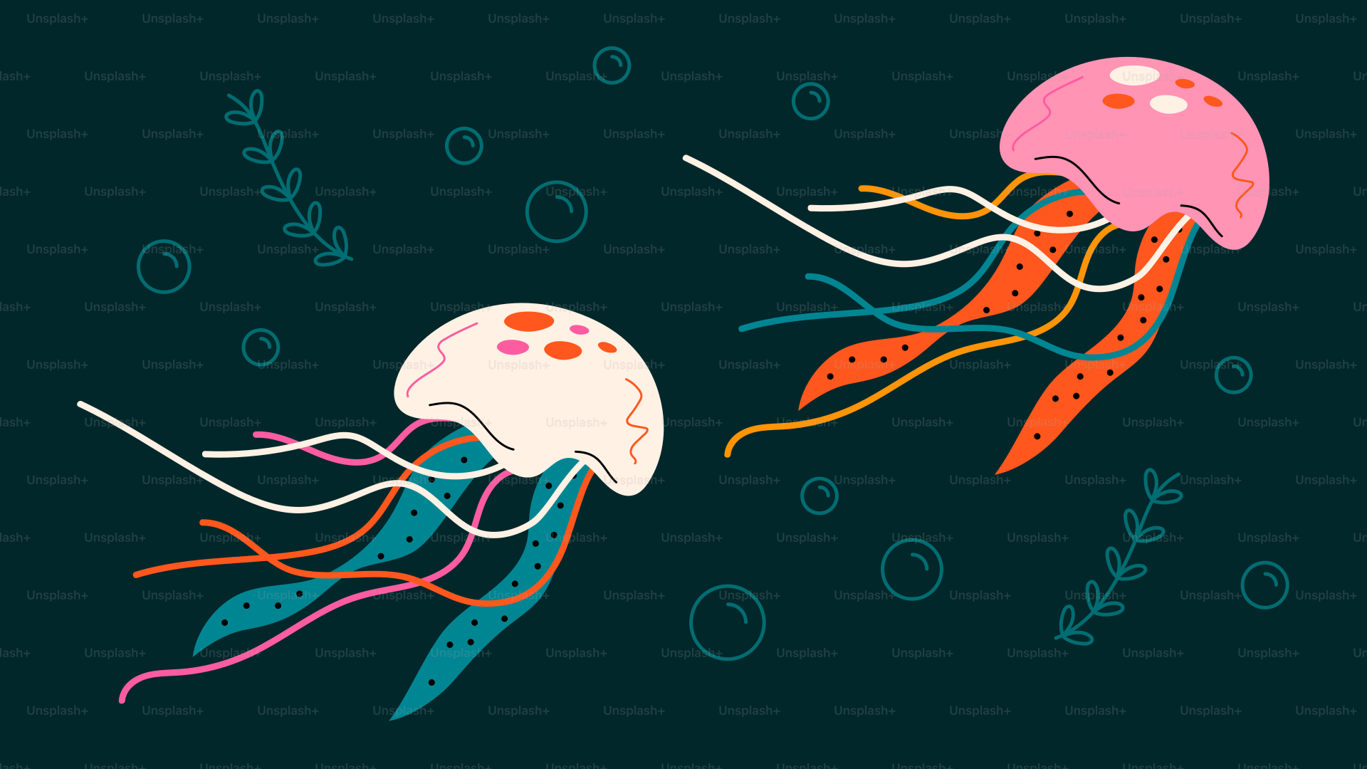 Two colorful jellyfish swim underwater.