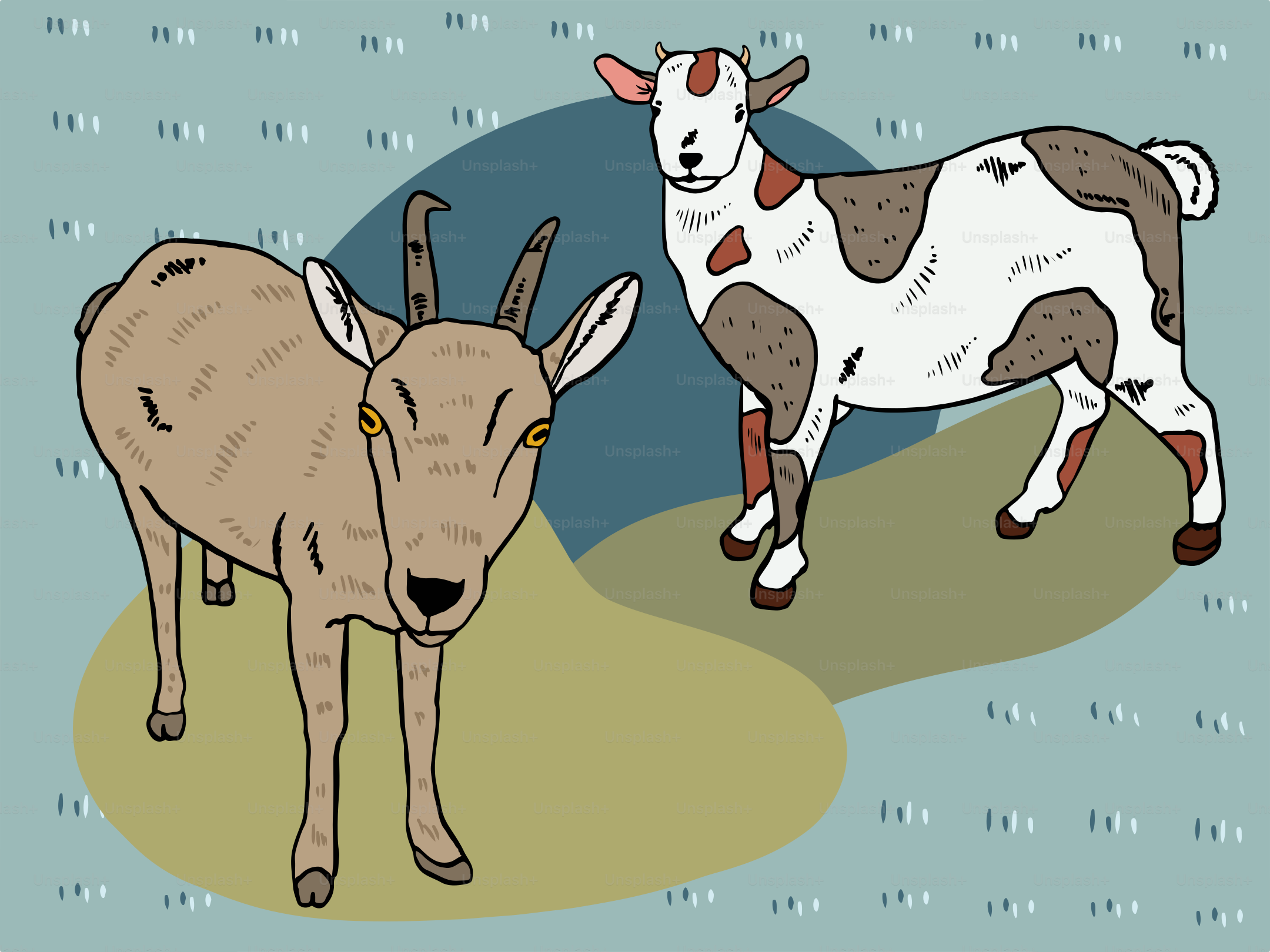 Two goats stand on a grassy field.