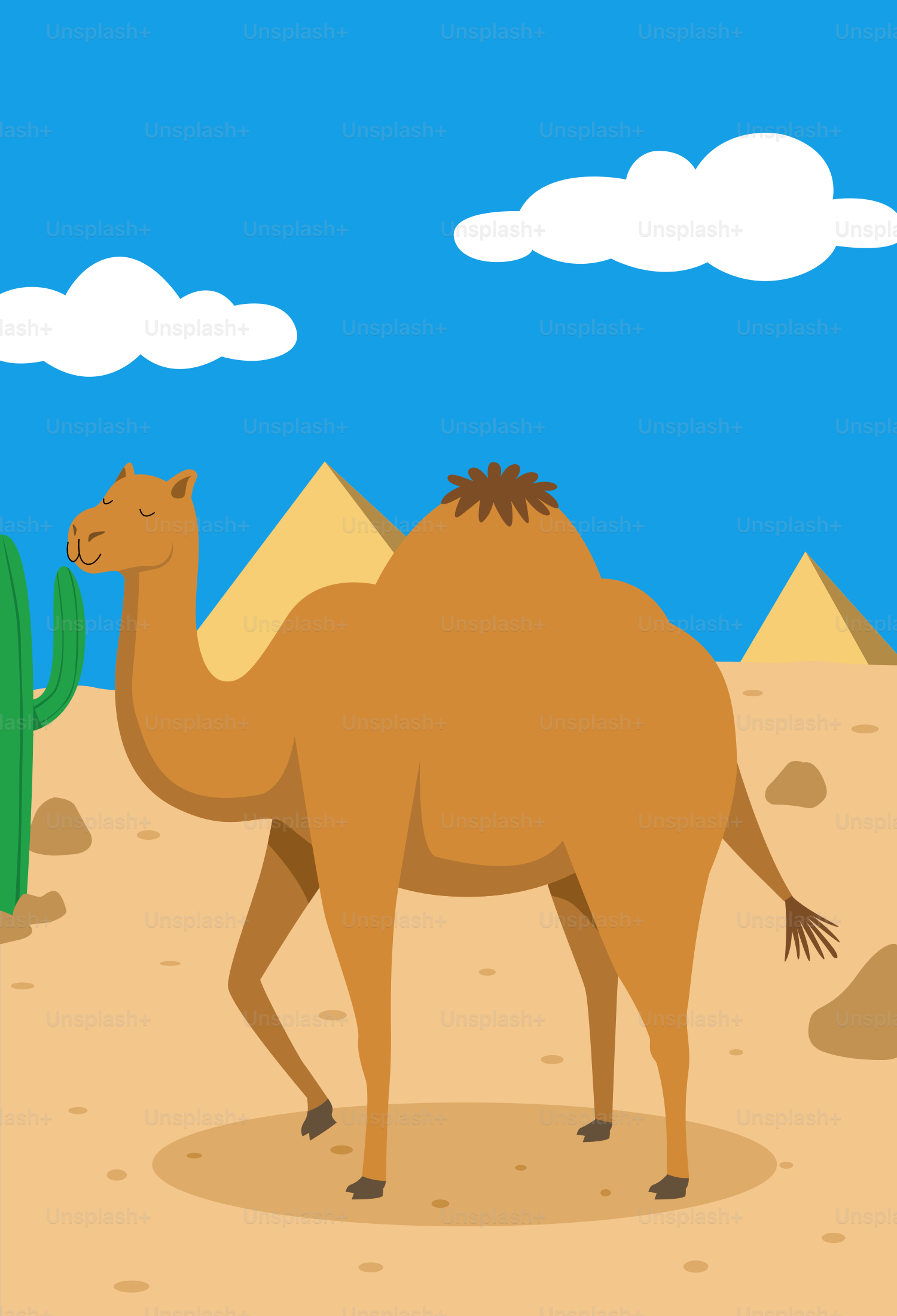 A camel stands in the desert near pyramids.