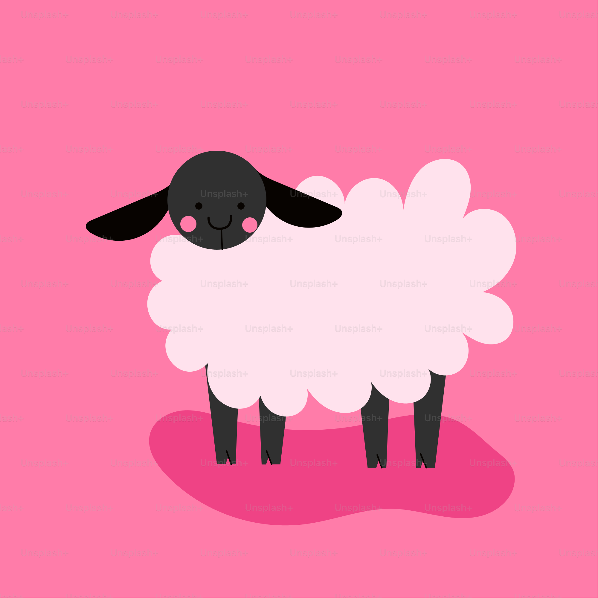 Uma ovelha fofa contra um fundo rosa