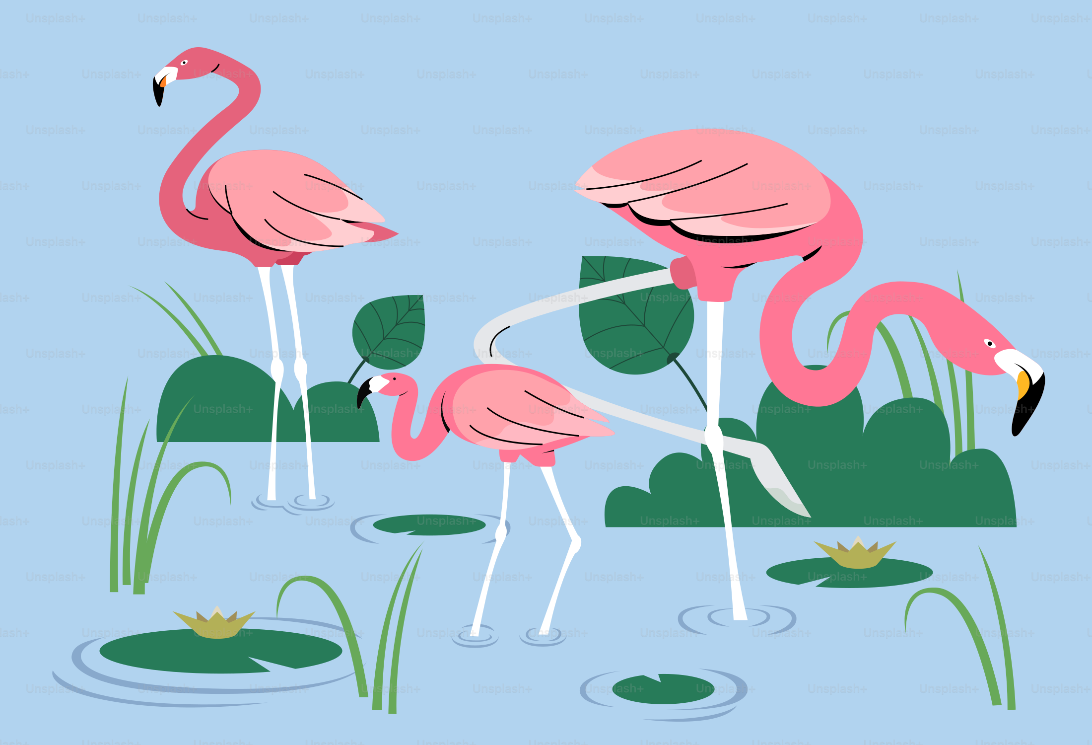 Los flamencos rosas se adentran en un estanque azul