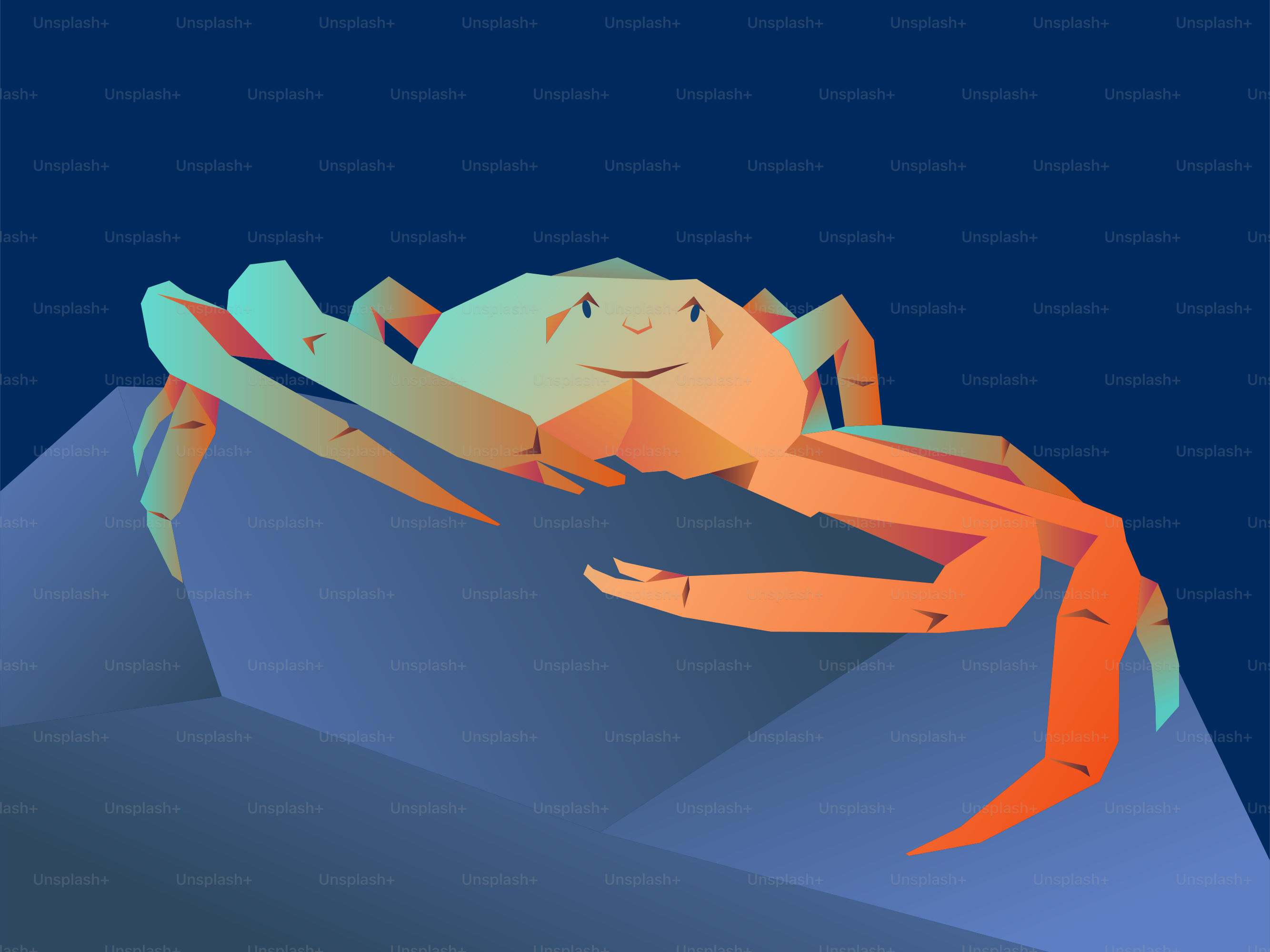 Hier ist eine Bildunterschrift für das Bild: eine bunte Krabbe, die auf einem Felsen sitzt.