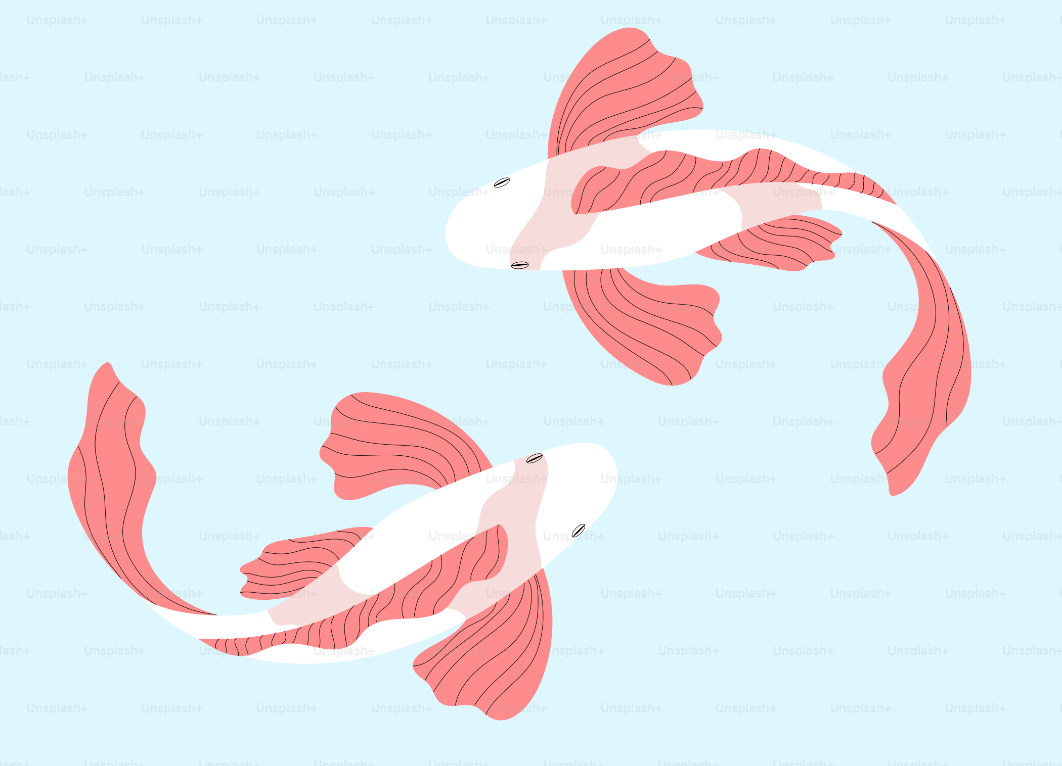 Two koi fish swimming in the water.