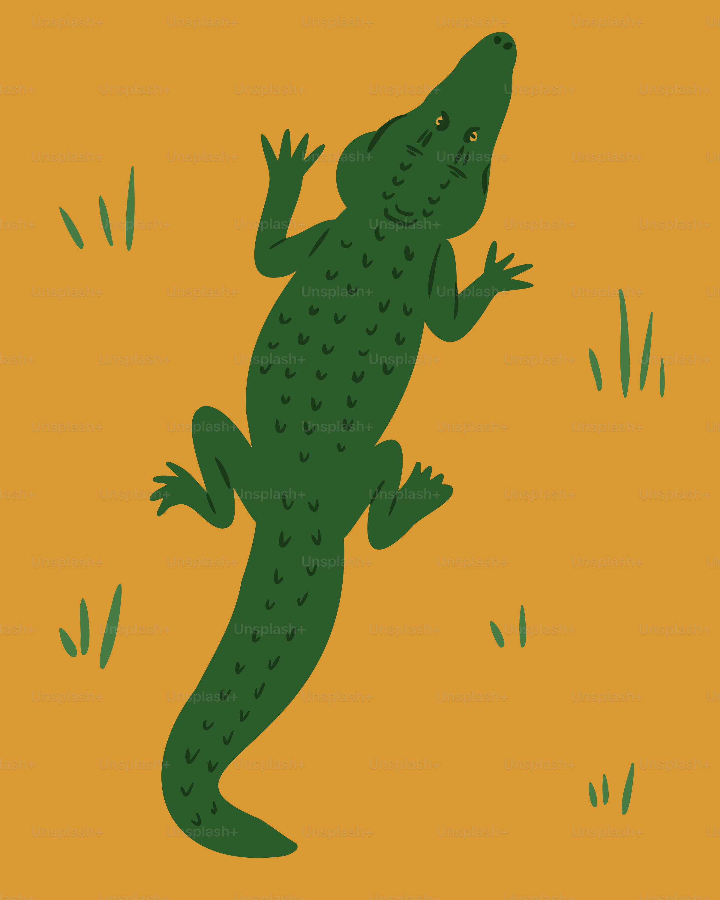 Ein grüner Alligator ruht im Sand.