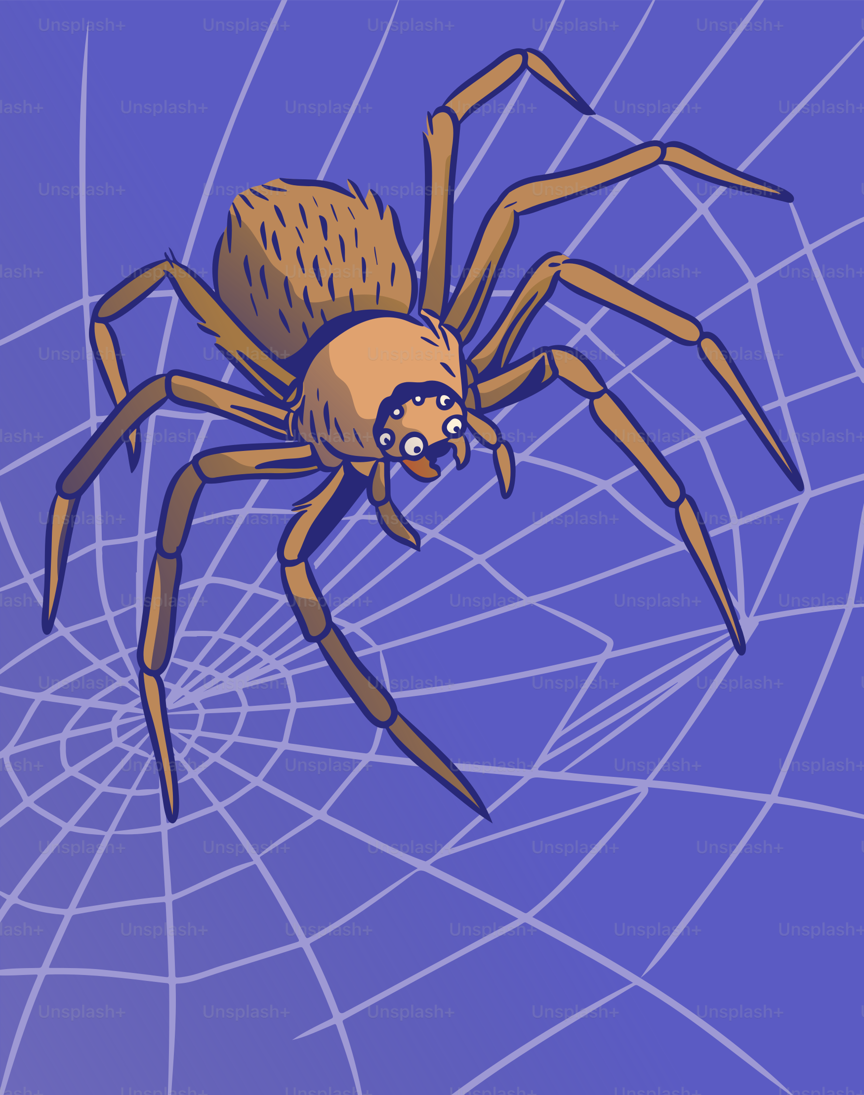 A spider sits upon its spun web.