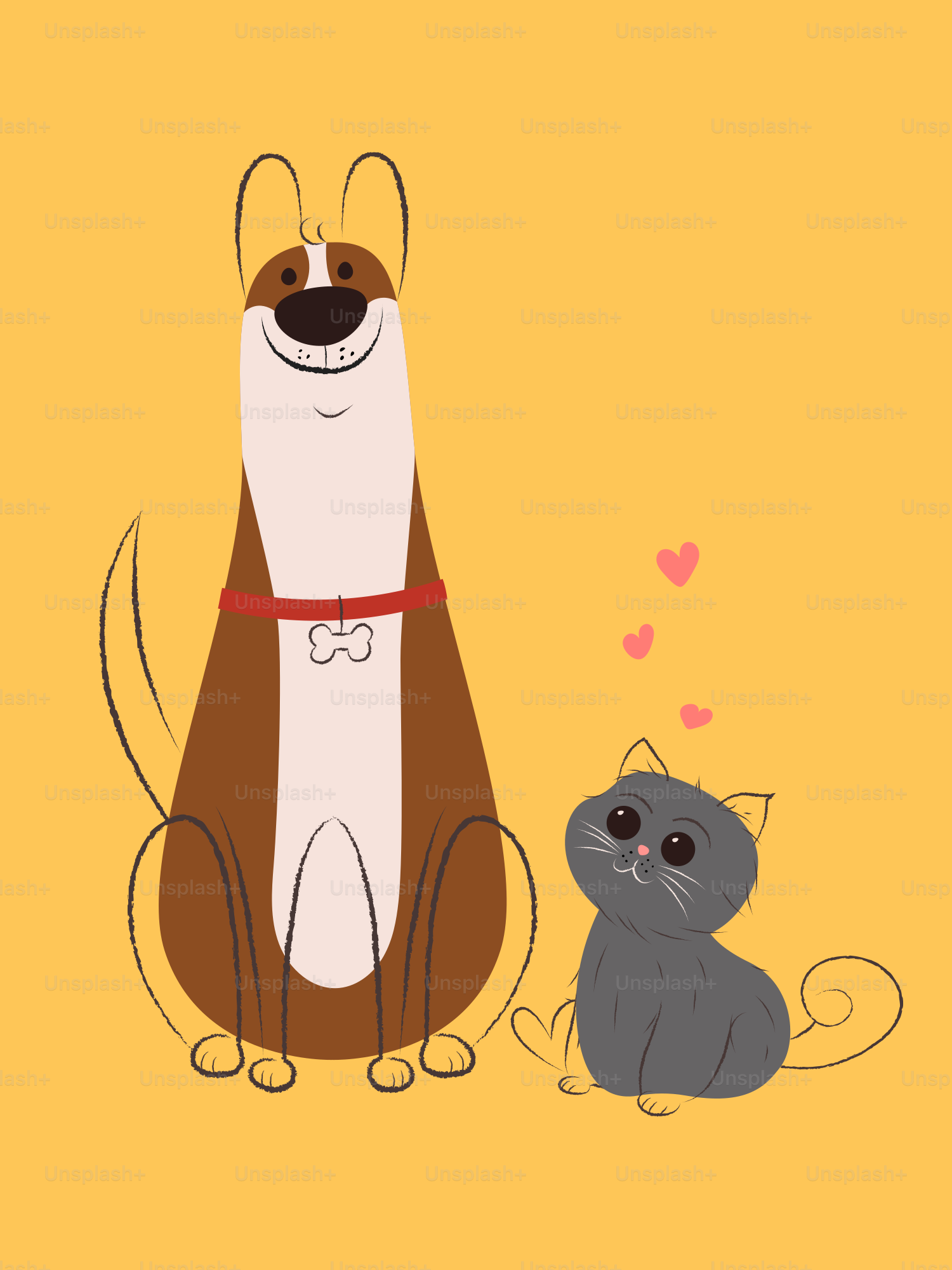 Un cane e un gatto sono amici intimi. vettoriale – Immagine di Gatto su  Unsplash, image size:3000x4000