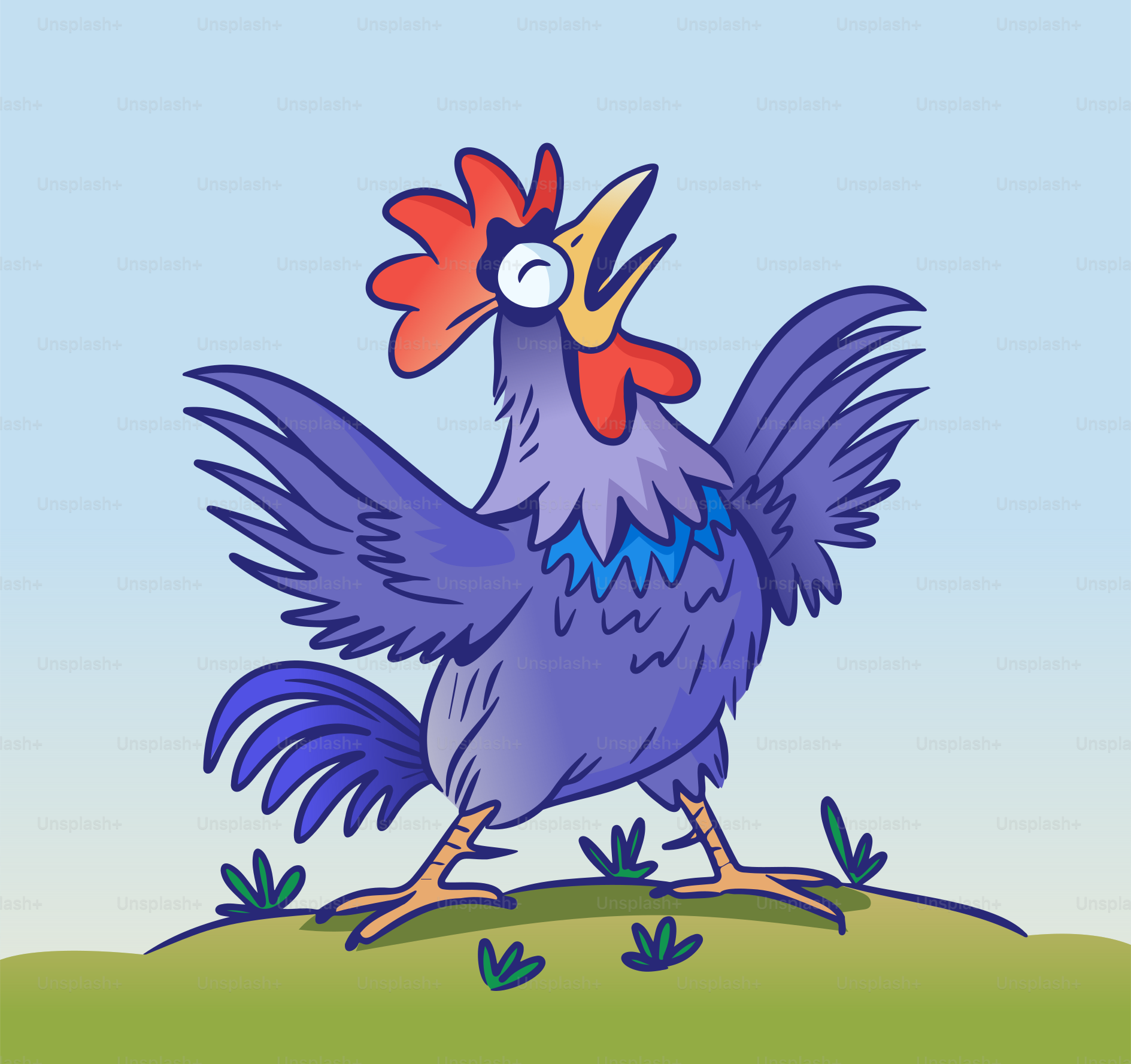 Un gallo canta annunciando il nuovo giorno