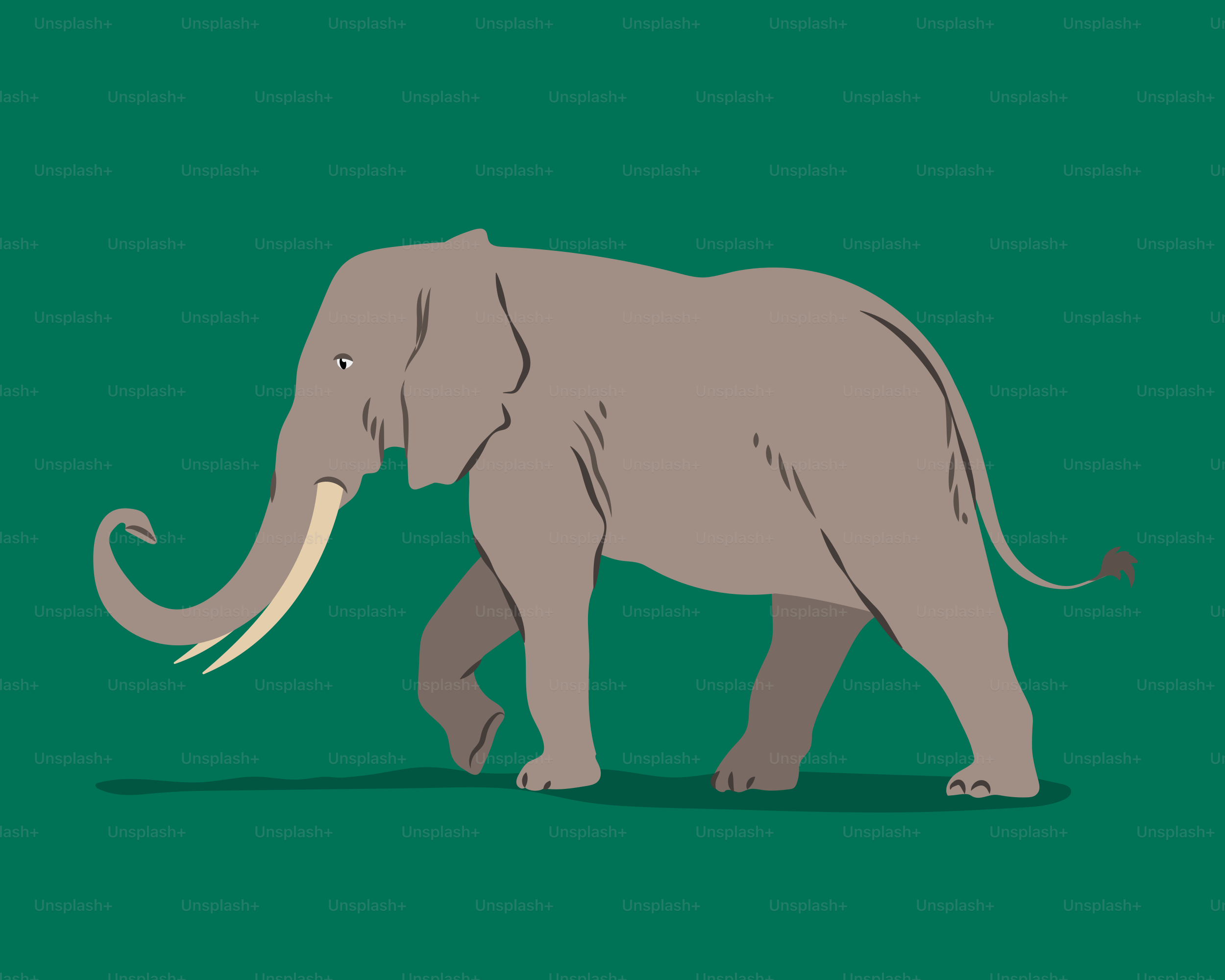 Un éléphant traverse le champ vert.