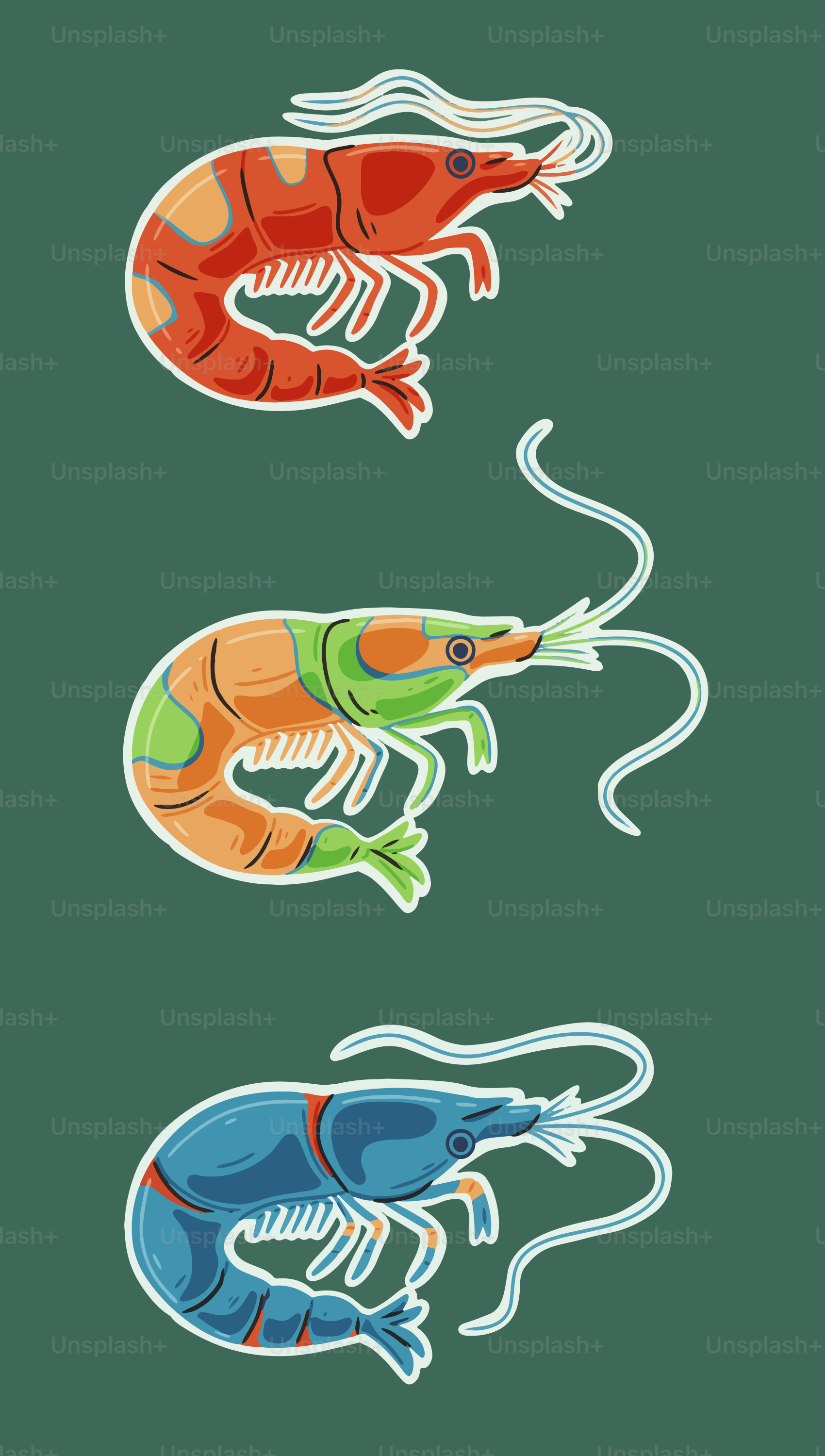 Tres gambas de varios colores.