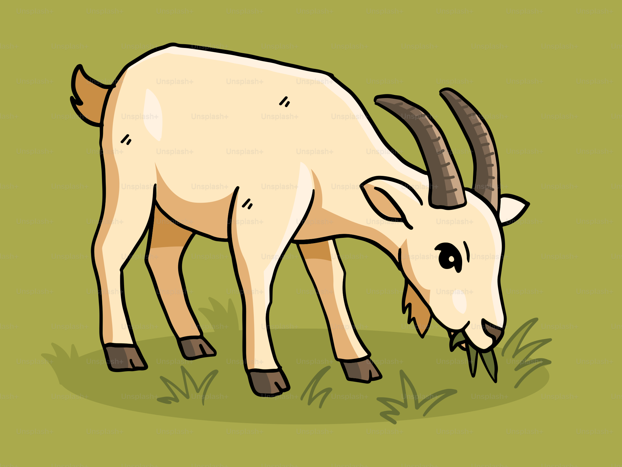 Une chèvre mange joyeusement de l’herbe verte.