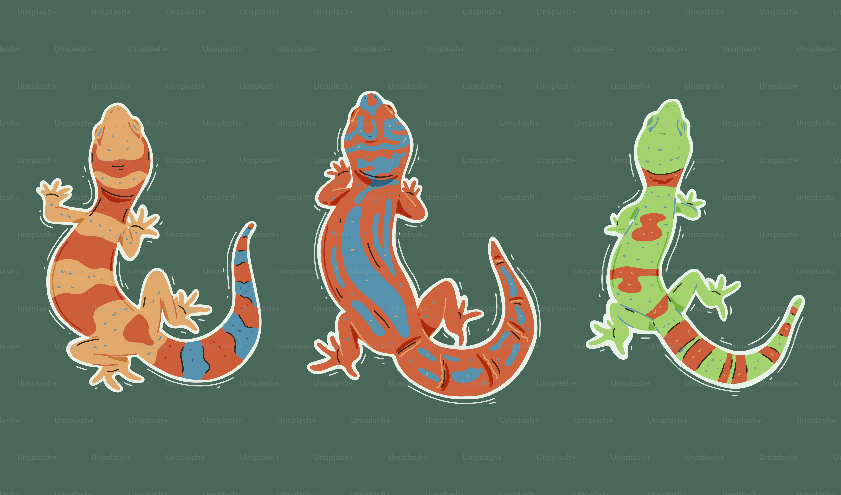 Three colorful, stylized geckos are depicted.