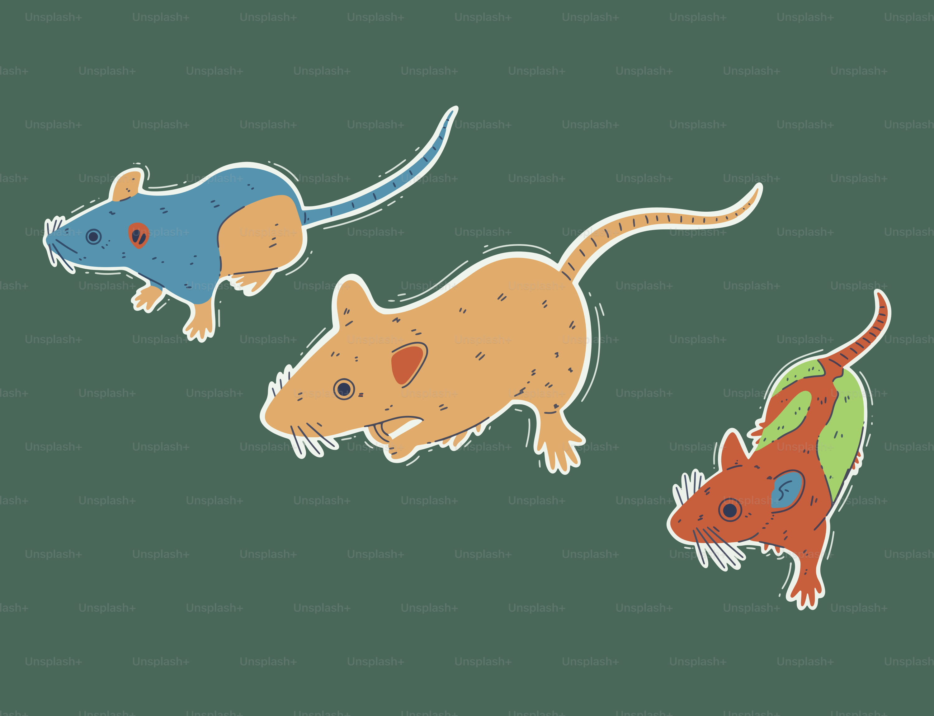 Trois souris de dessins animés de couleurs différentes.