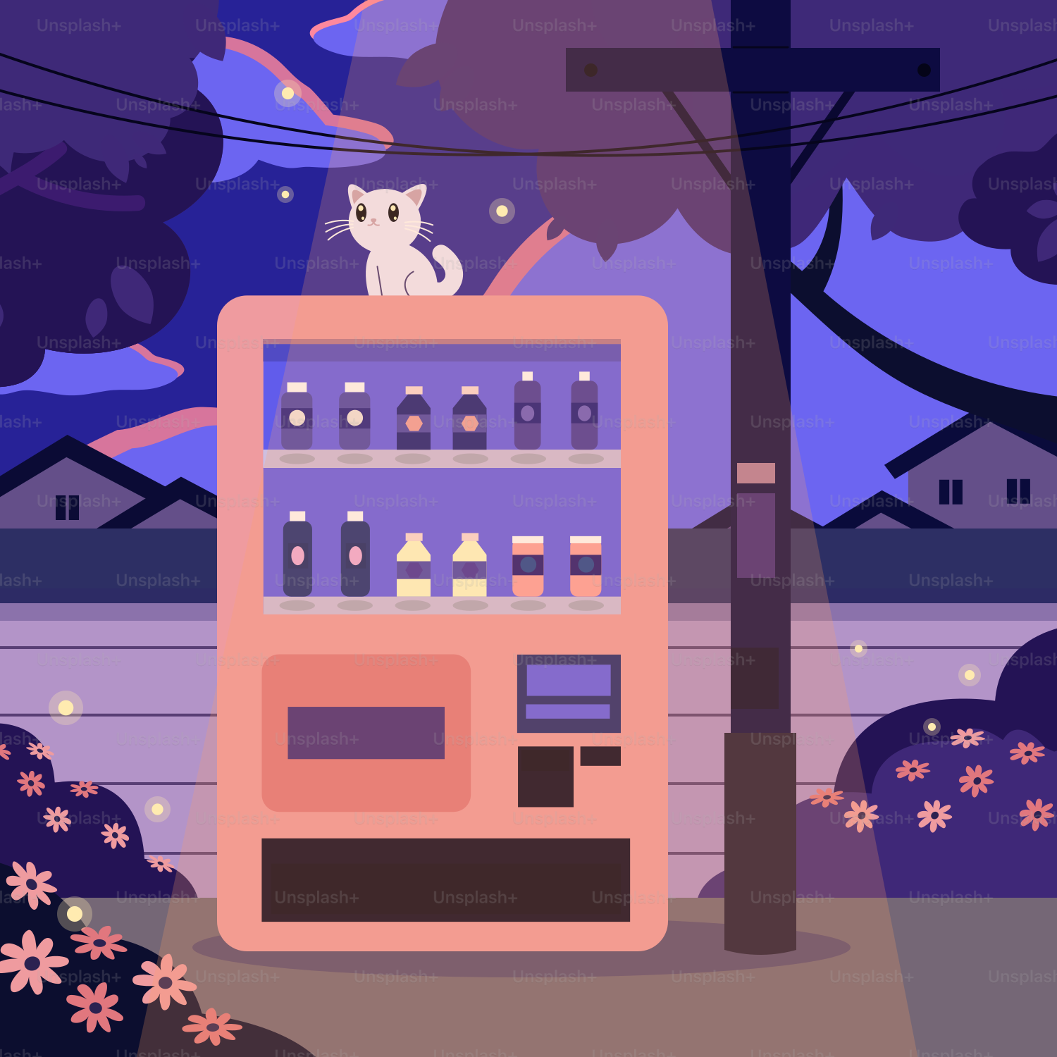 A cat sits atop a vending machine at night.