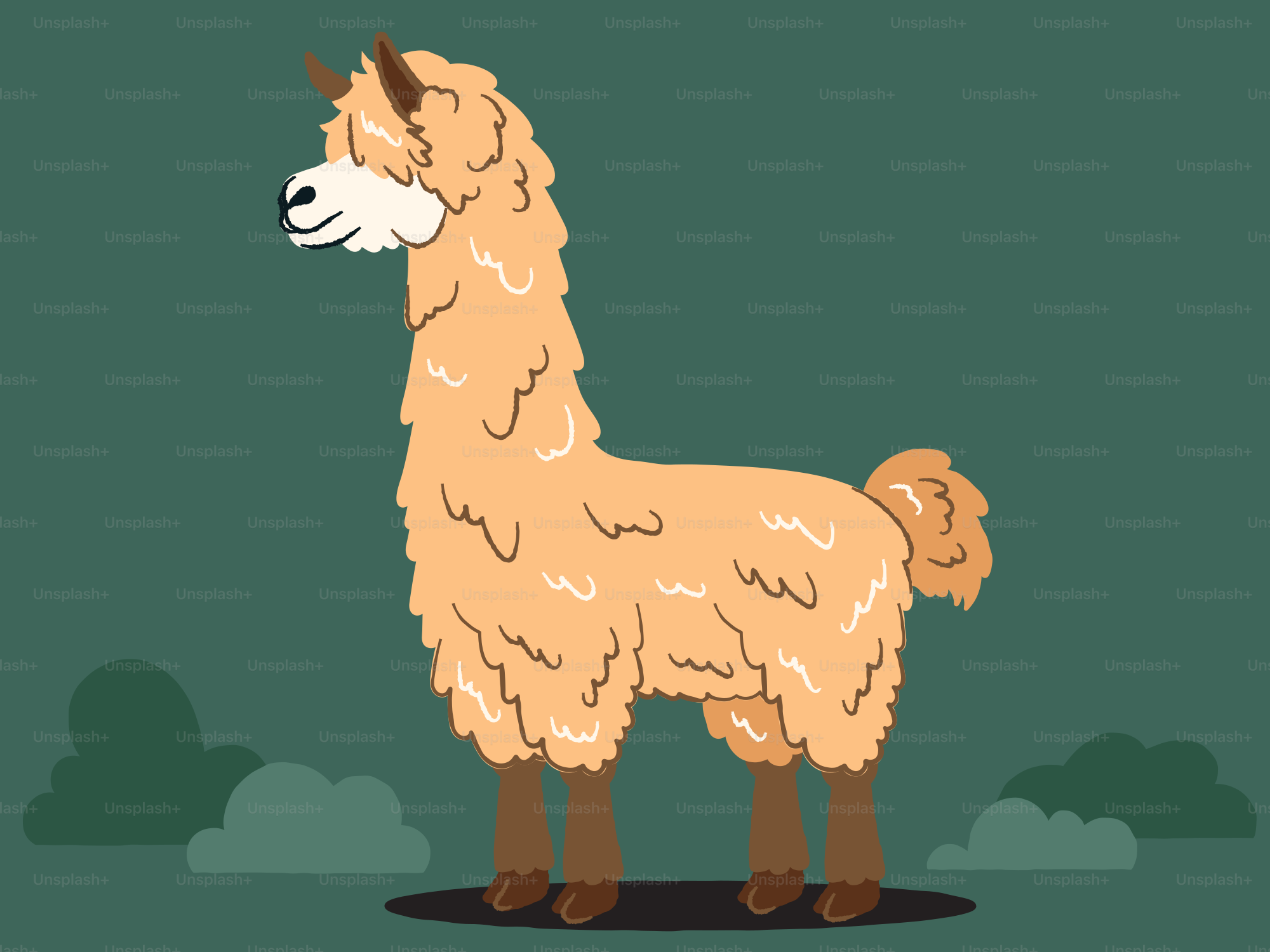 Una llama de dibujos animados se encuentra sobre un fondo verde. vector –  Imagen de Animal en Unsplash, image size:3000x2250