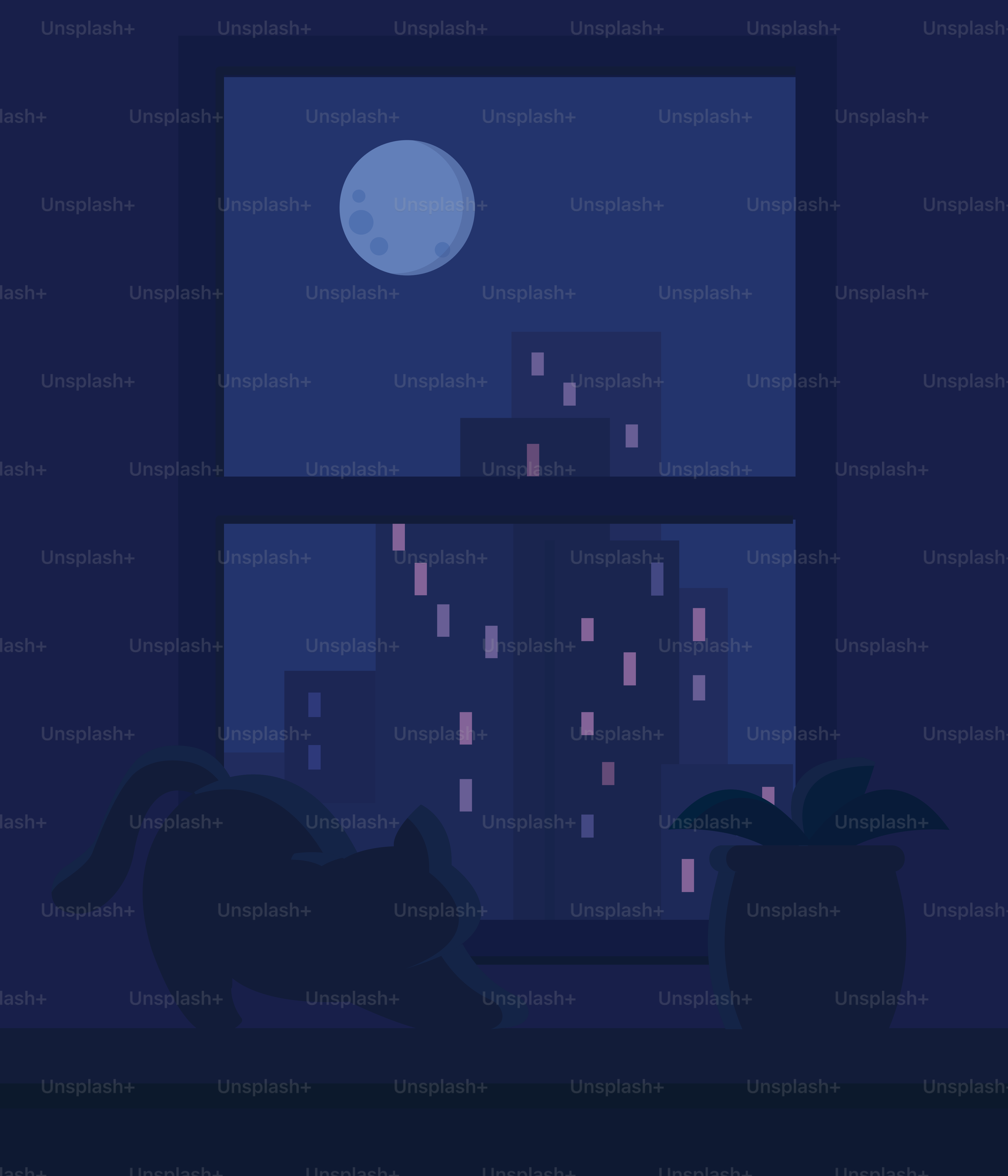 A cat stretches at the window on a night.