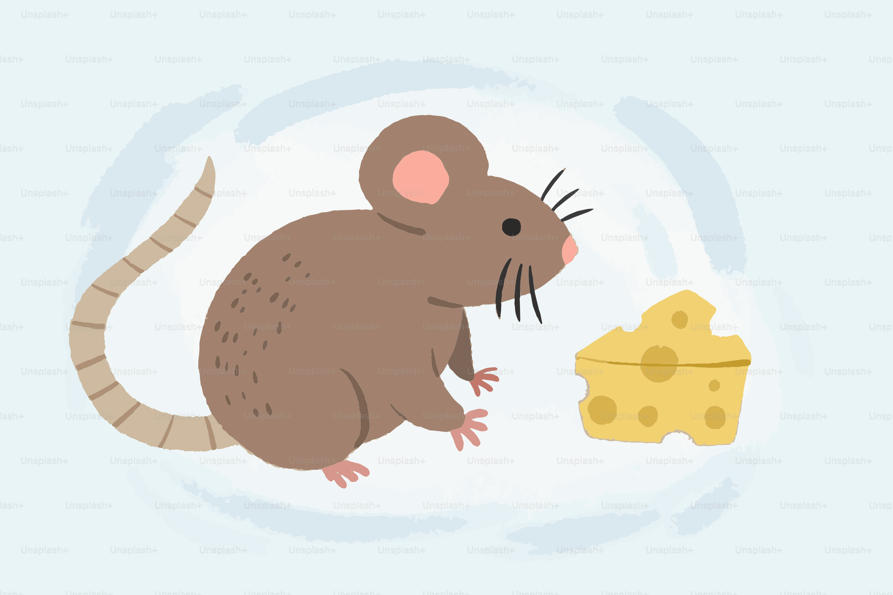 A mouse contemplates cheese.