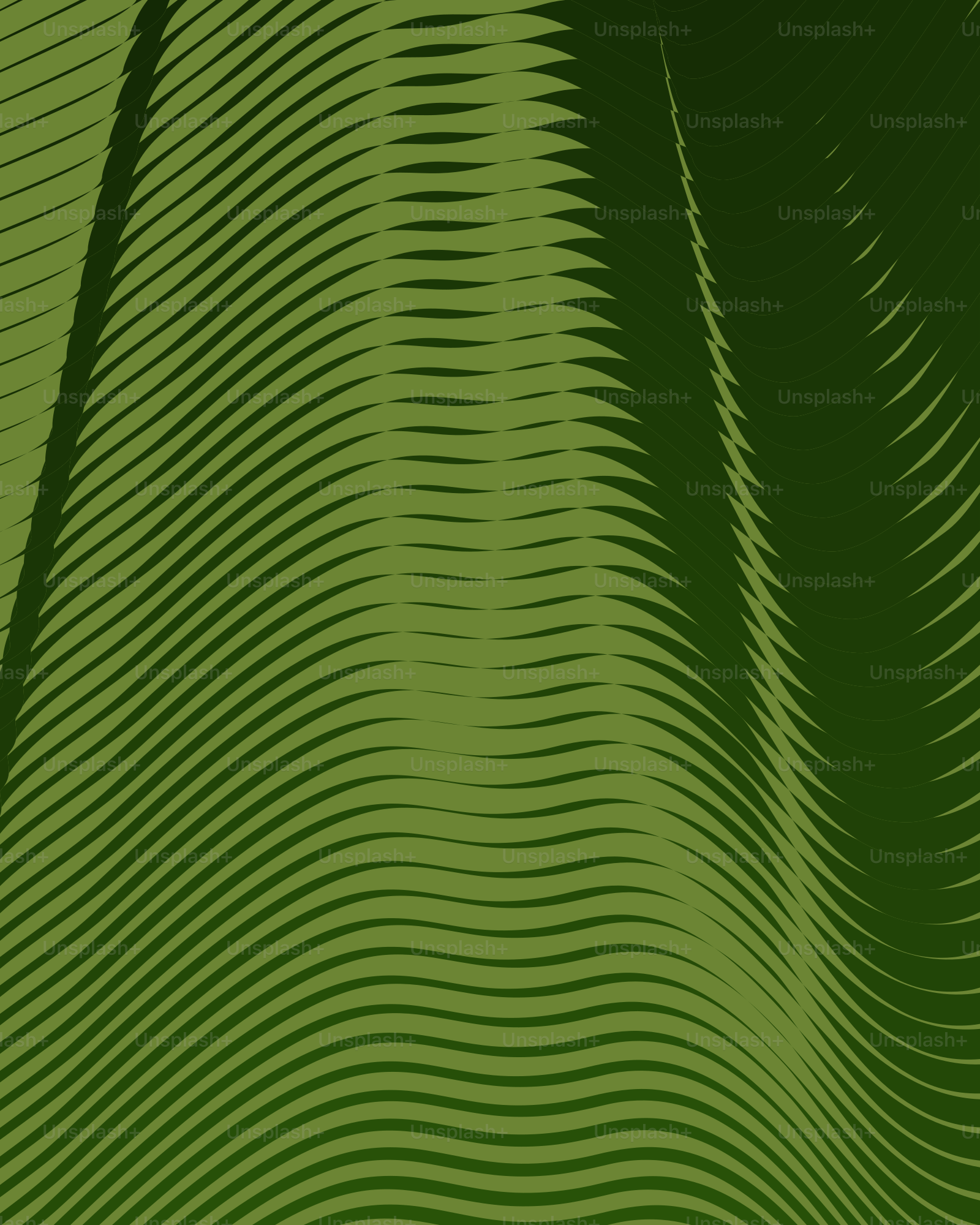 Abstract, wavy lines create a dark, green pattern.