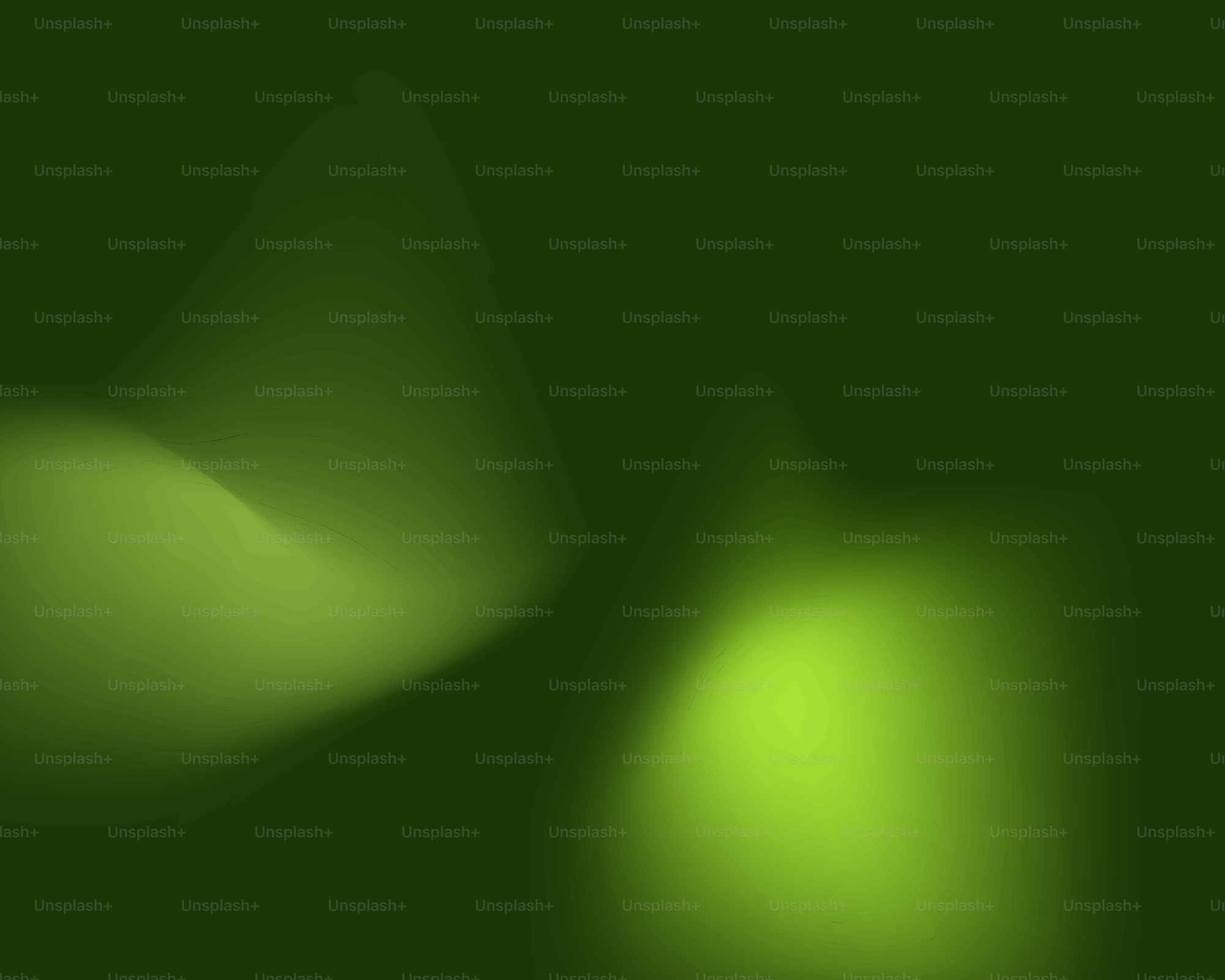 緑色の背景に柔らかく光り込む形。