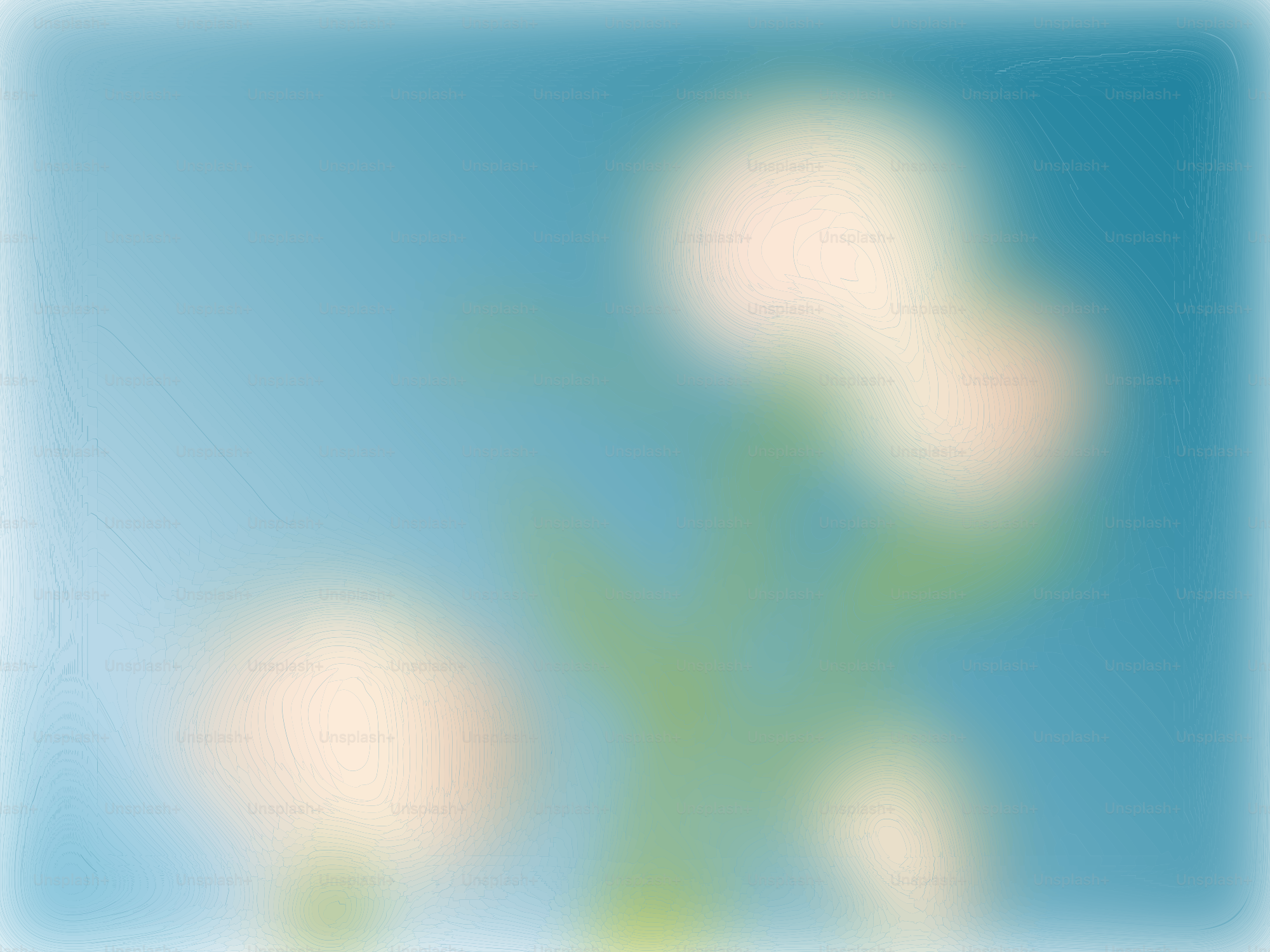 Fiori che sbocciano su uno sfondo azzurro cielo.