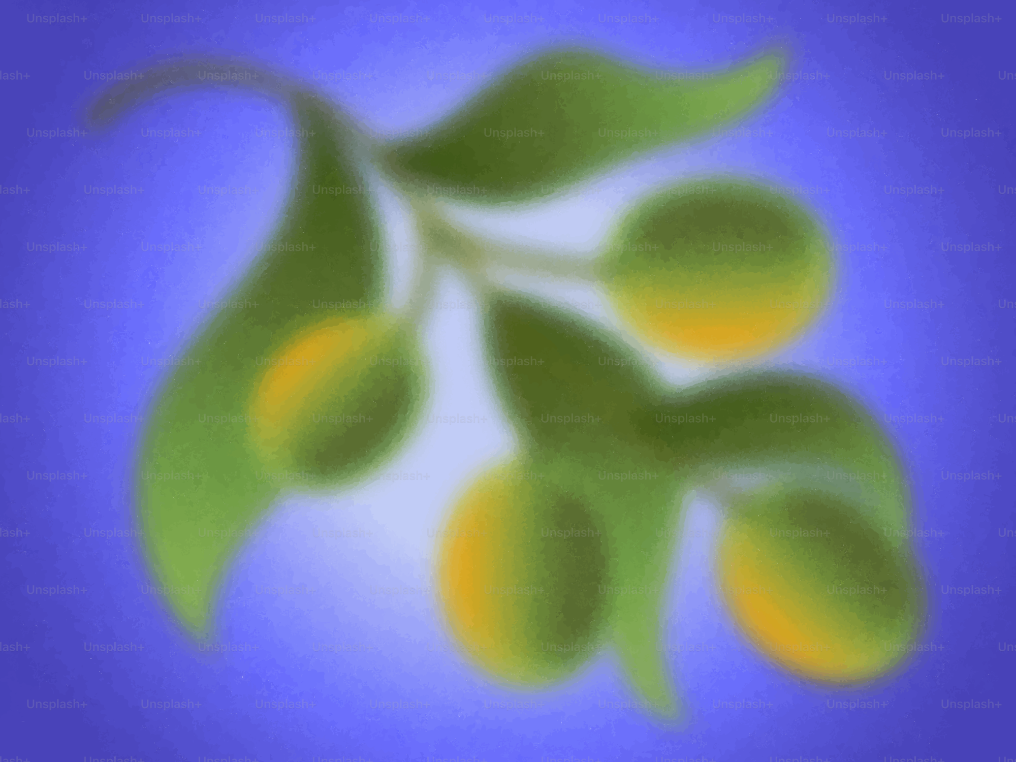 Blurry image of a branch with olives.