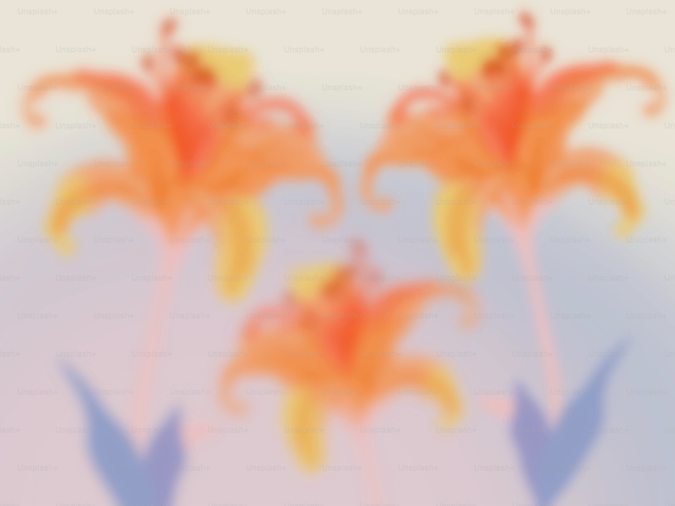 Tre gigli arancioni sbocciano su uno sfondo morbido.