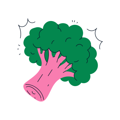 A vibrant broccoli is ready to eat.