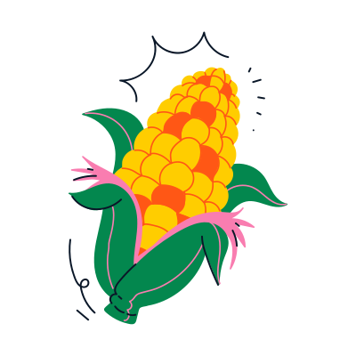Here's a caption: a colorful, fresh corn on the cob.