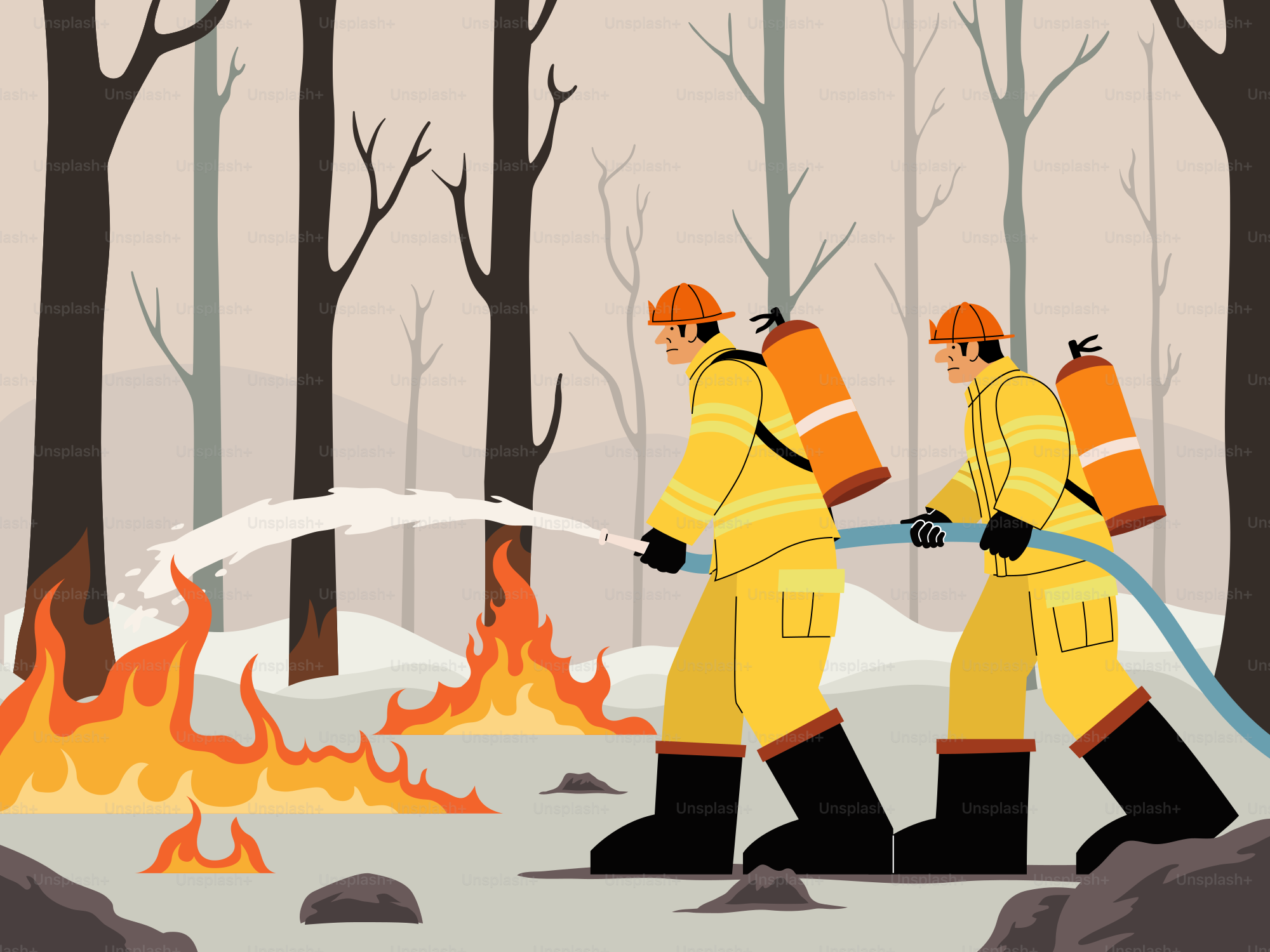 Los bomberos luchan contra un incendio en un bosque.