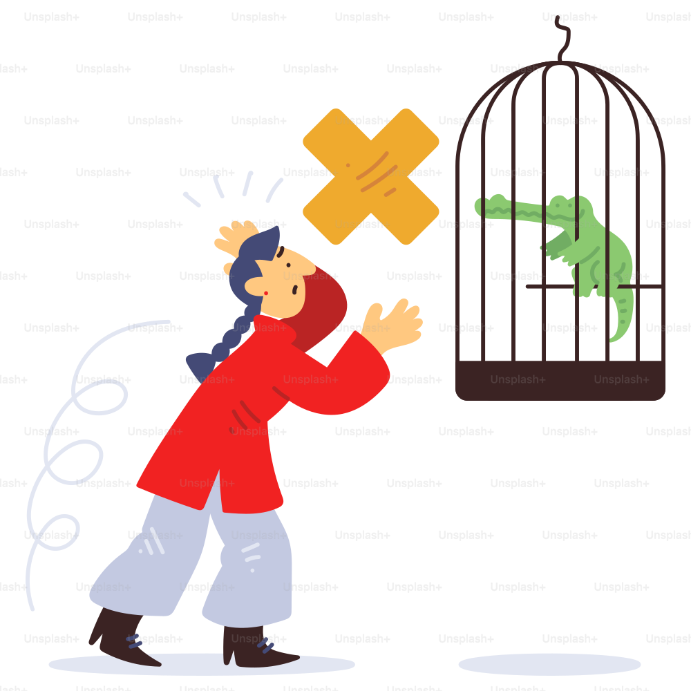 Le crocodile est dans la cage !