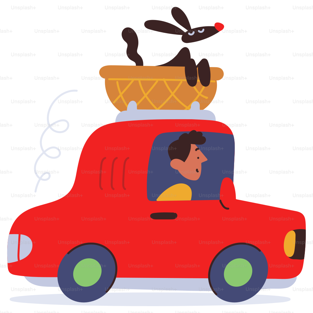 A dog rides in a car with a happy driver.