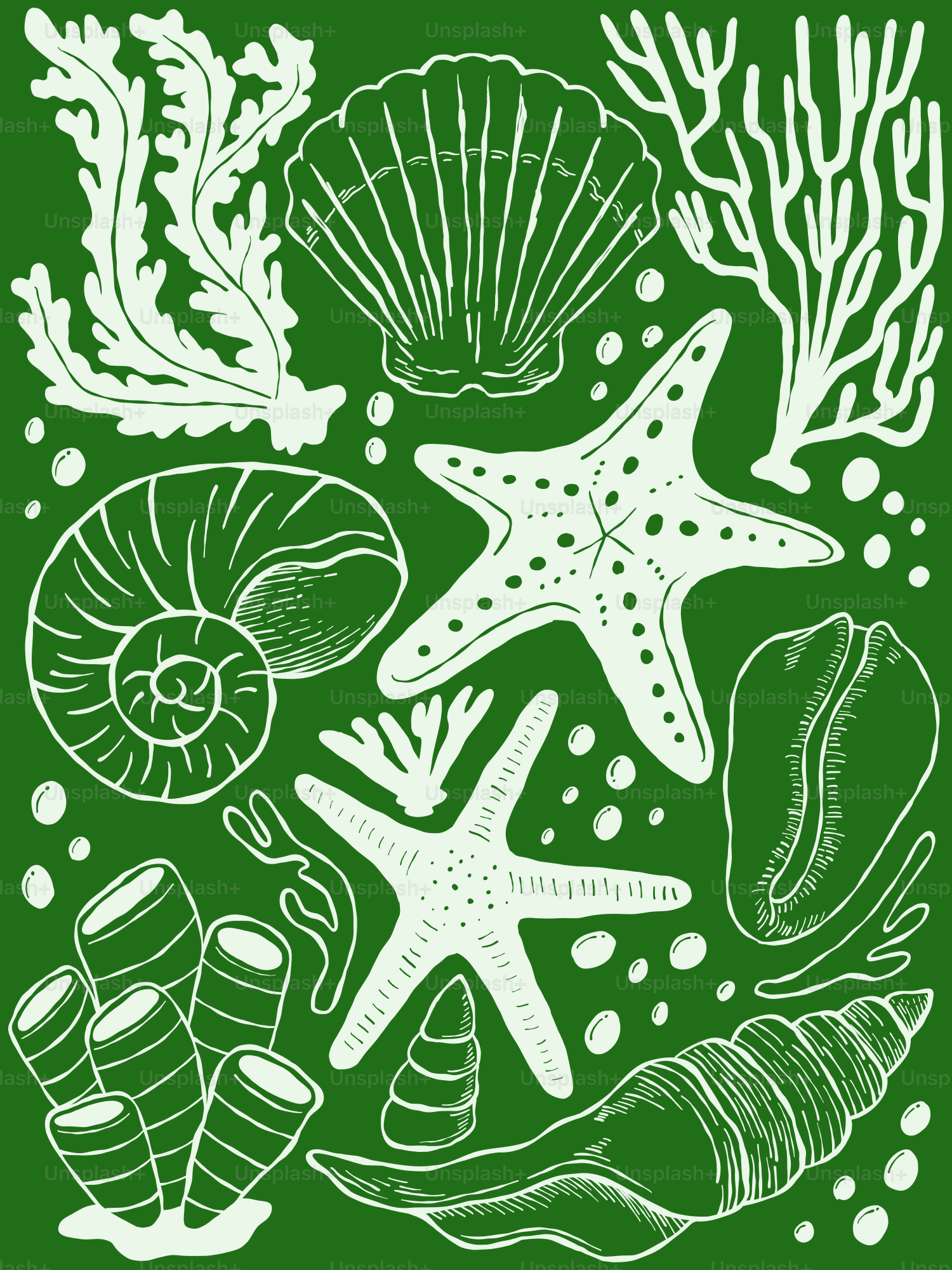 Seashells, starfish, and coral create an ocean scene.
