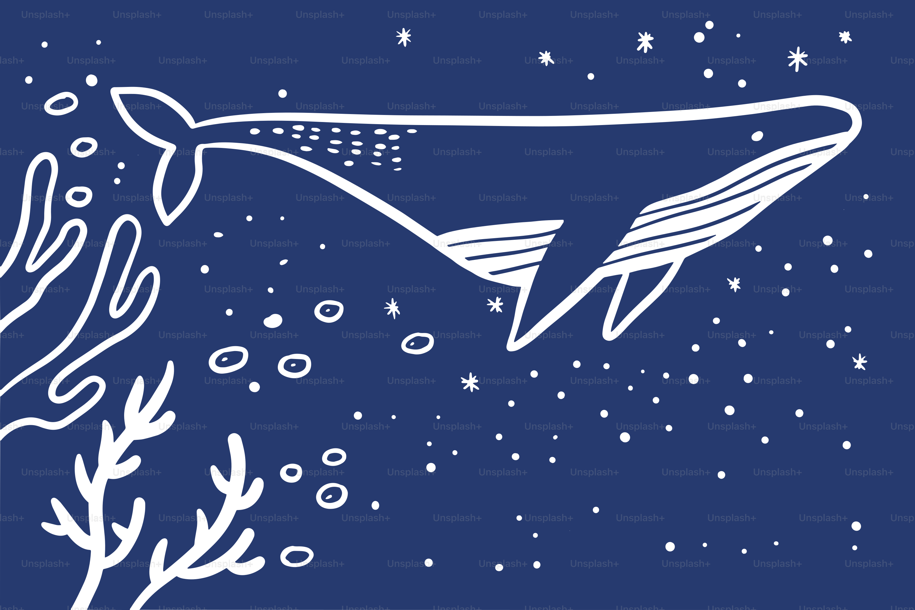 A whale swims in the deep ocean.