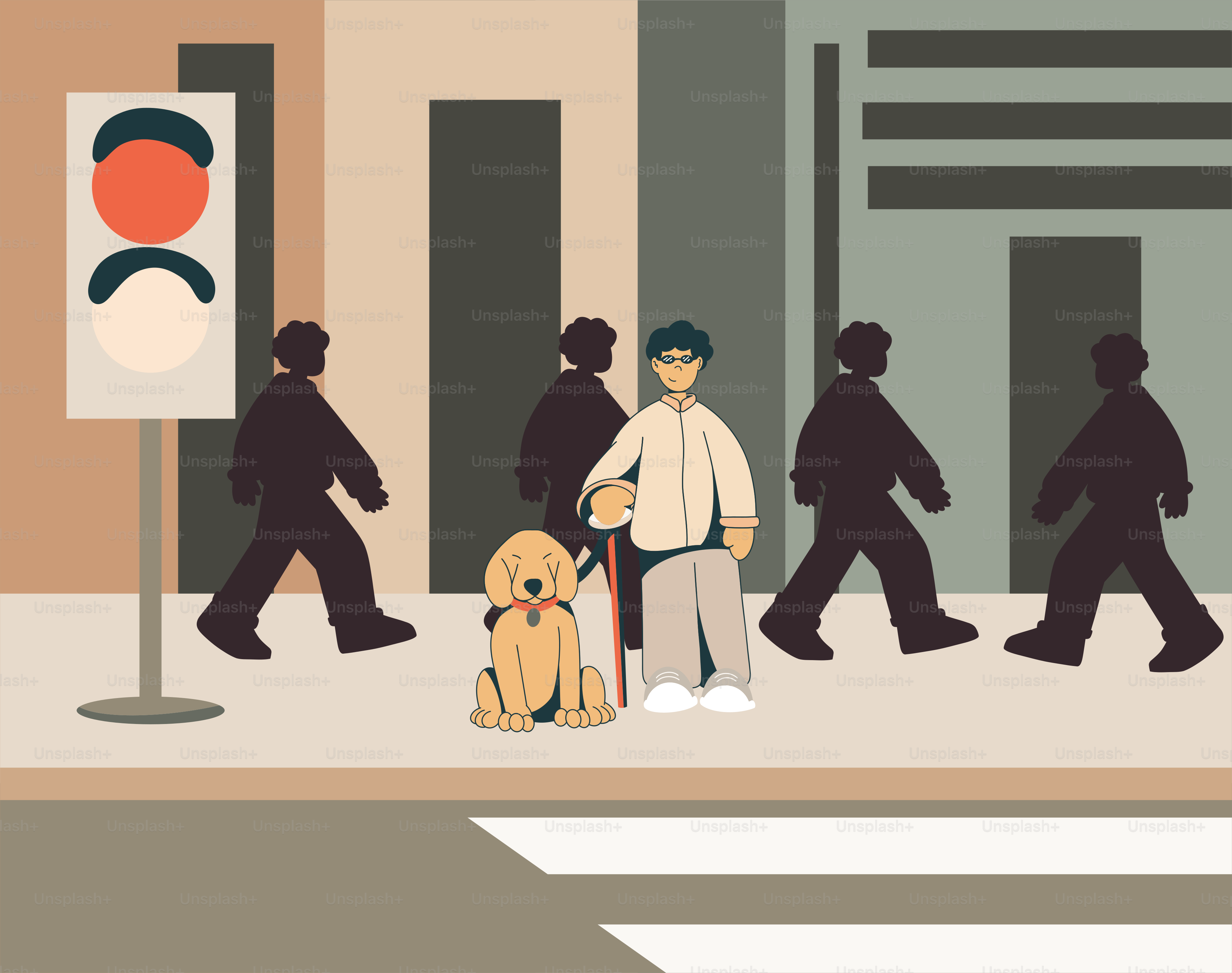 A guide dog helps a person cross the street.