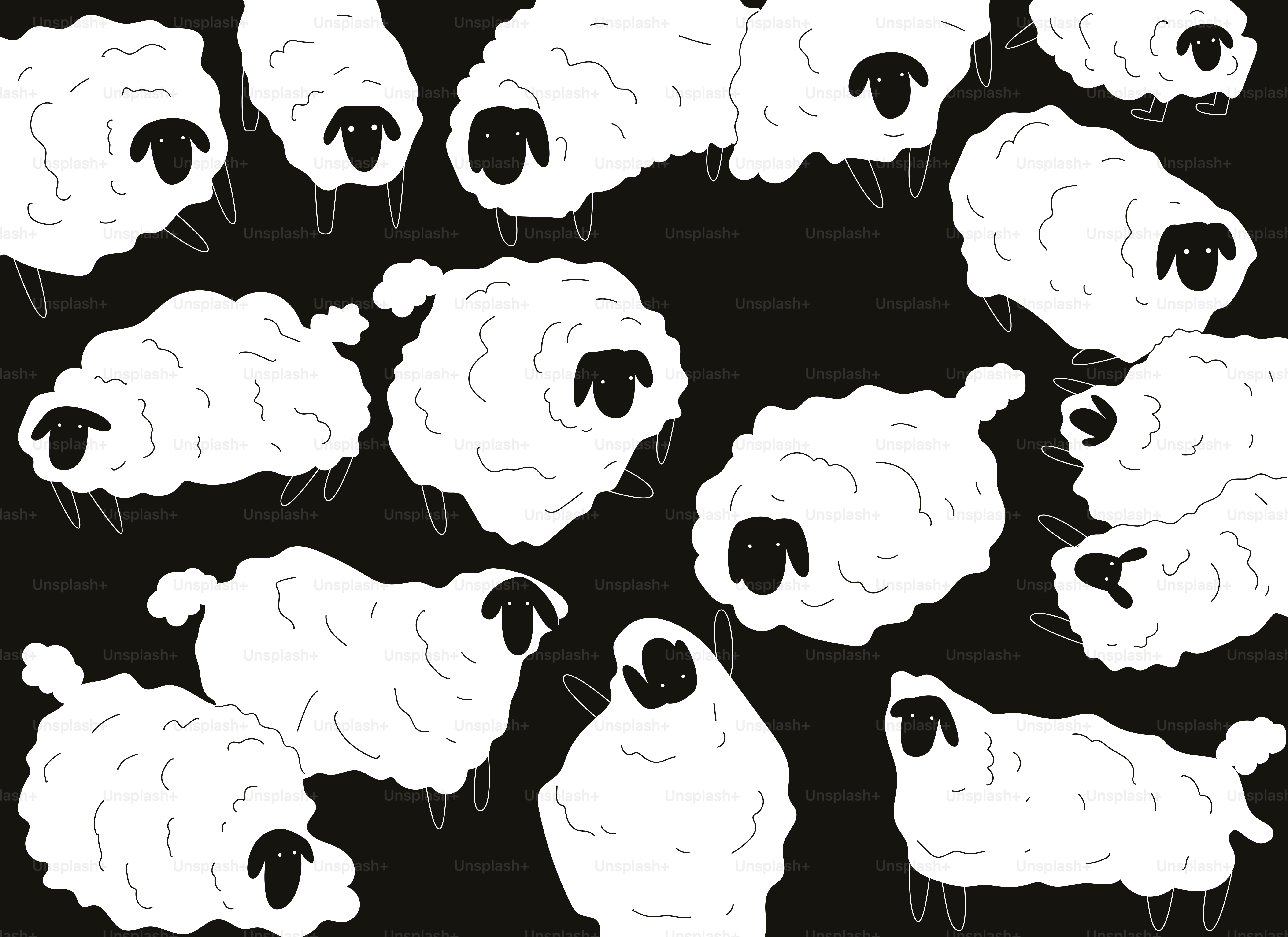 Un rebaño de ovejas sobre un fondo negro