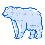 An illustrated diagram of a bear's cuts.