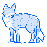 A blue coyote stands with lines outlining it.