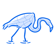 A blue flamingo walks across a white background.