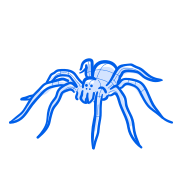 A blue spider with eight legs.