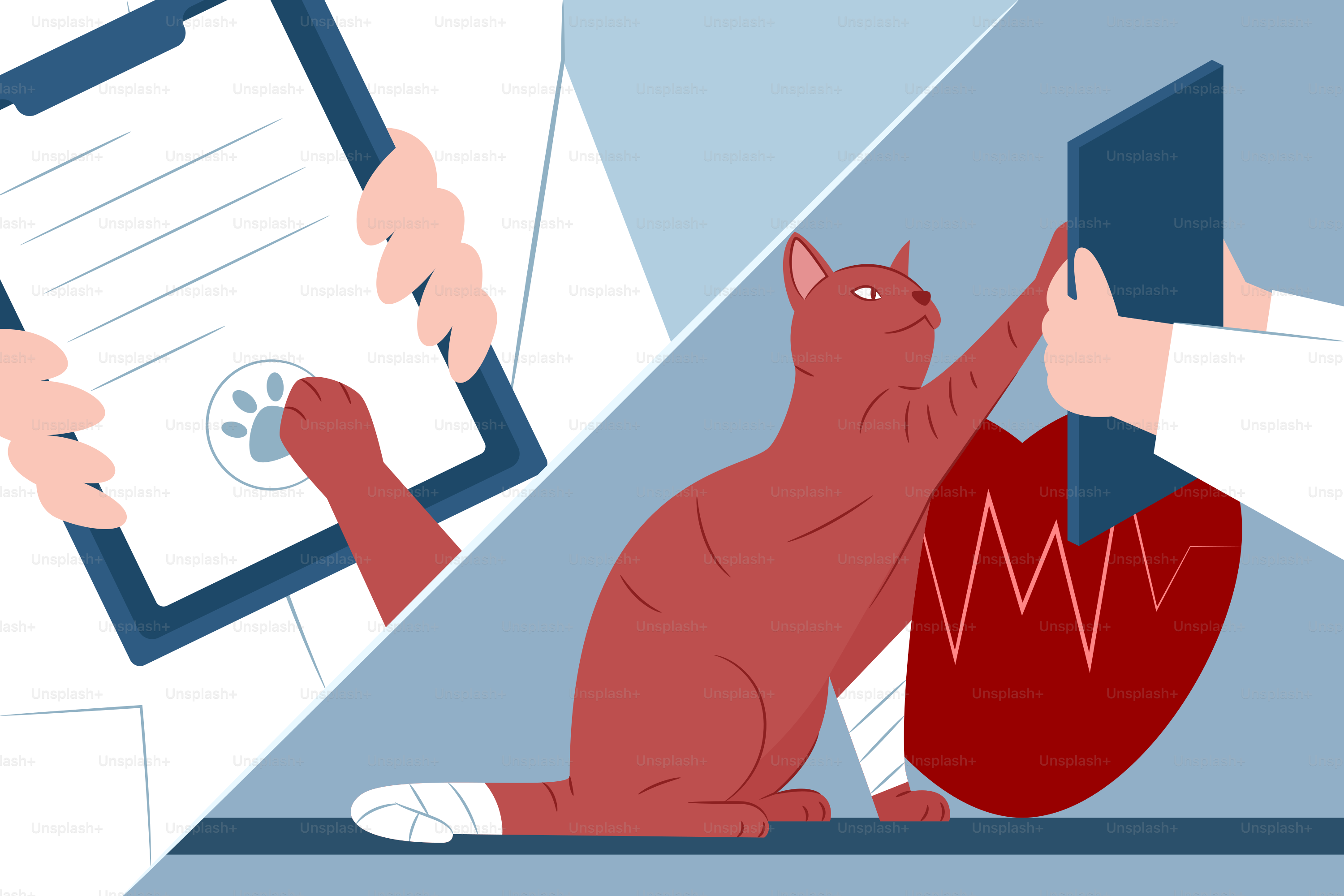 A cat is at the vet's for a checkup.