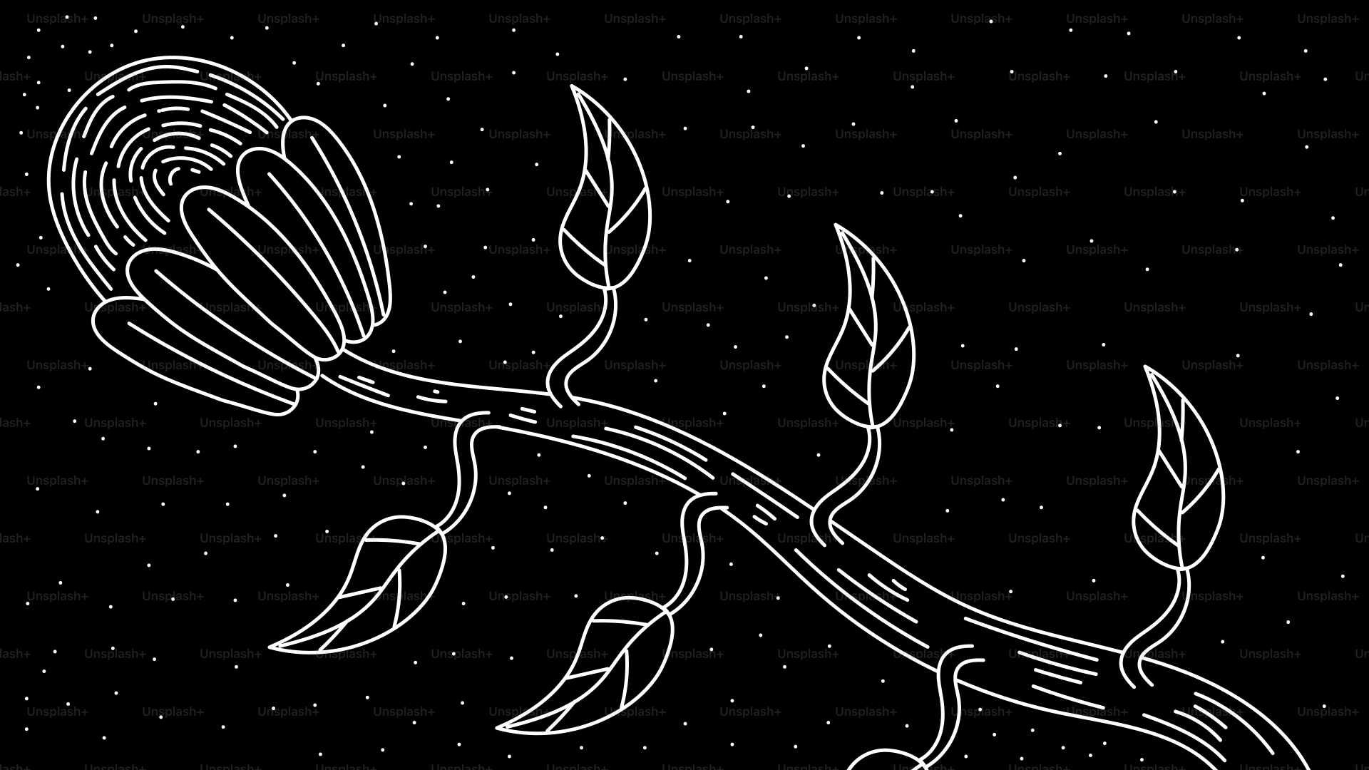 Un disegno floreale è raffigurato su uno sfondo tratteggiato.
