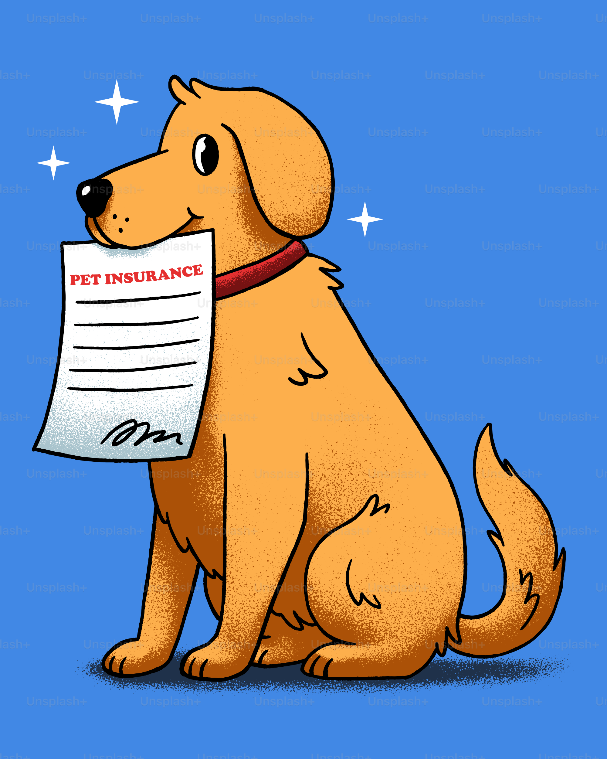 A golden retriever holds pet insurance.