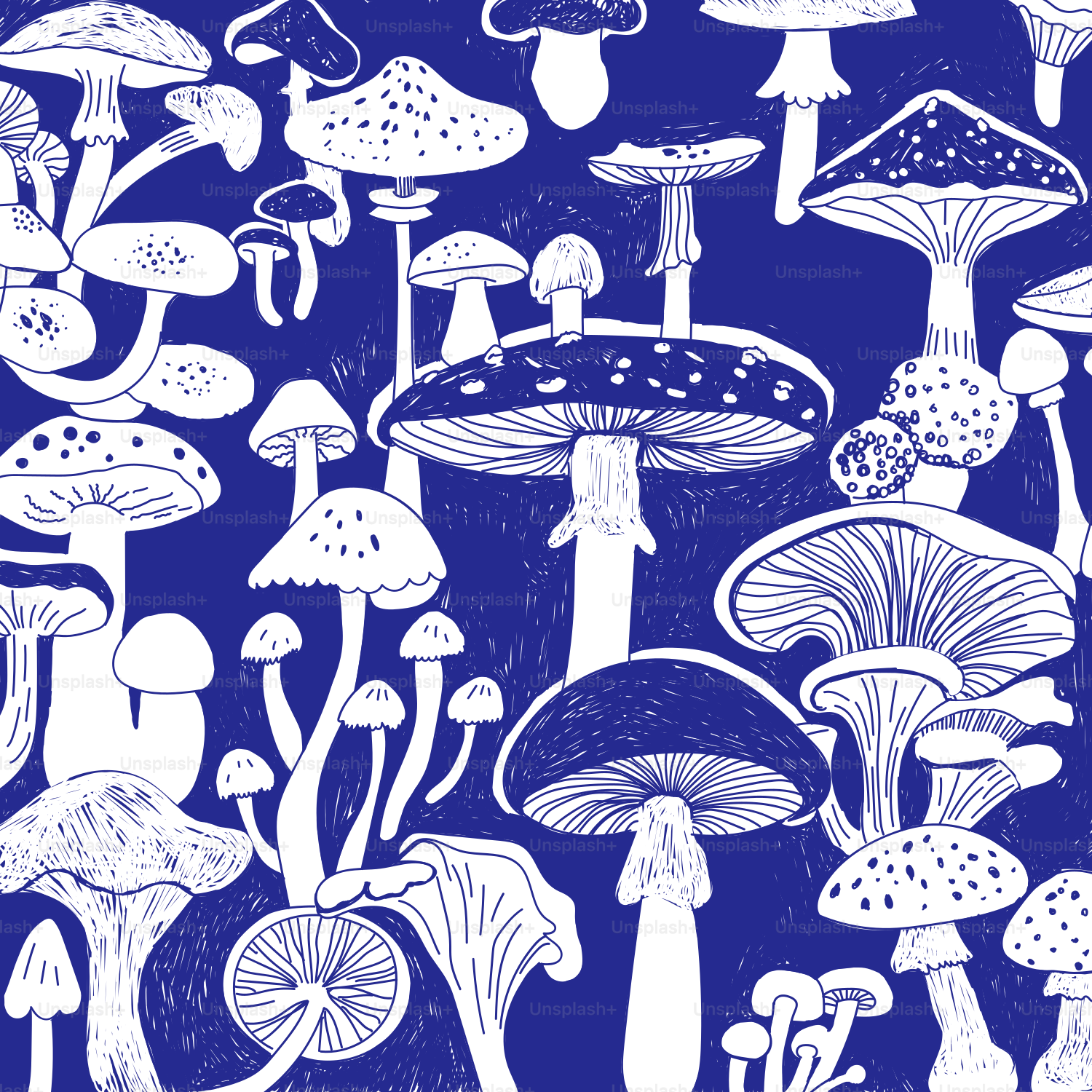 Mushrooms are shown in a pattern on a blue background.