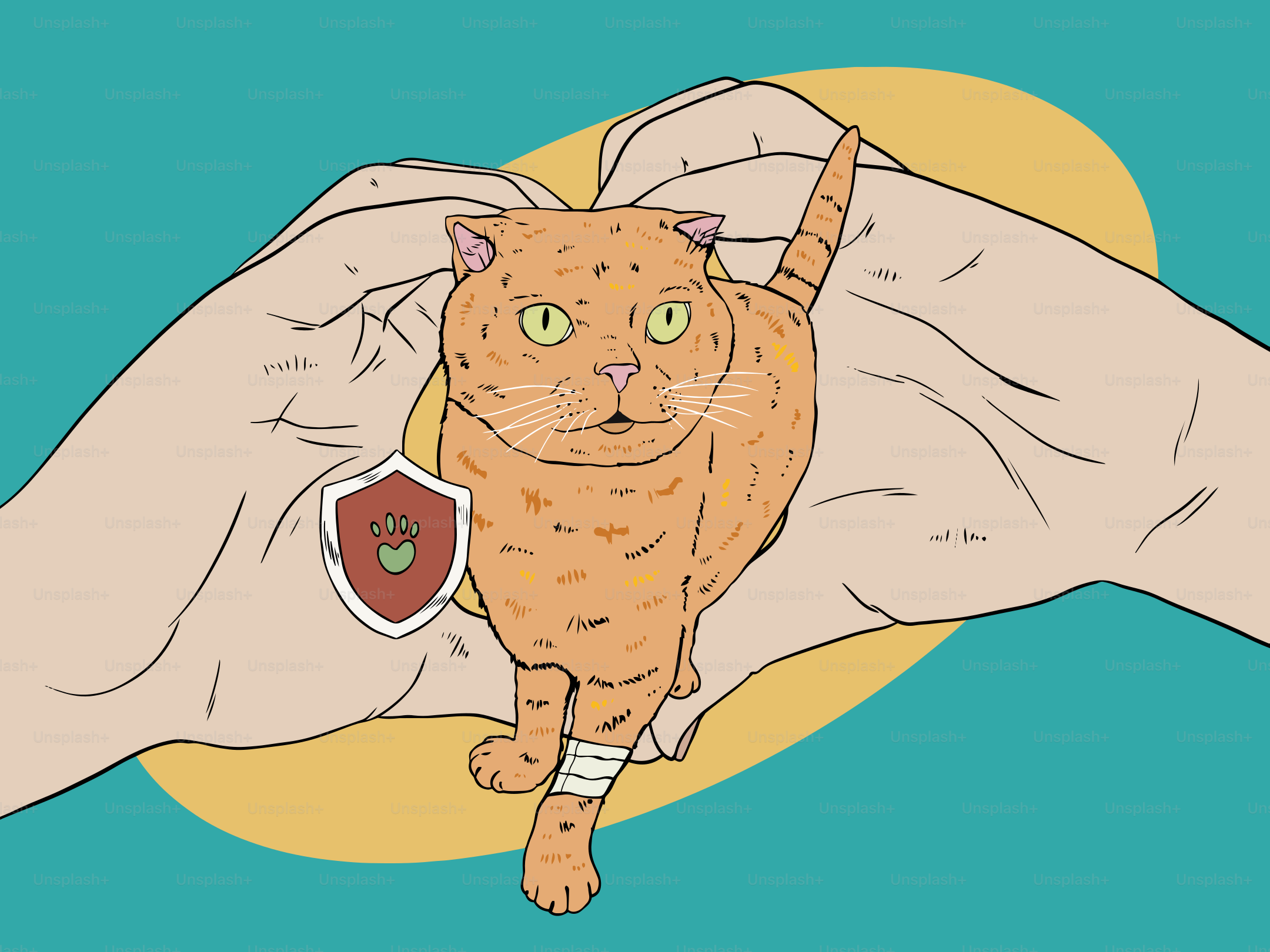 A protected cat is held gently in hands.