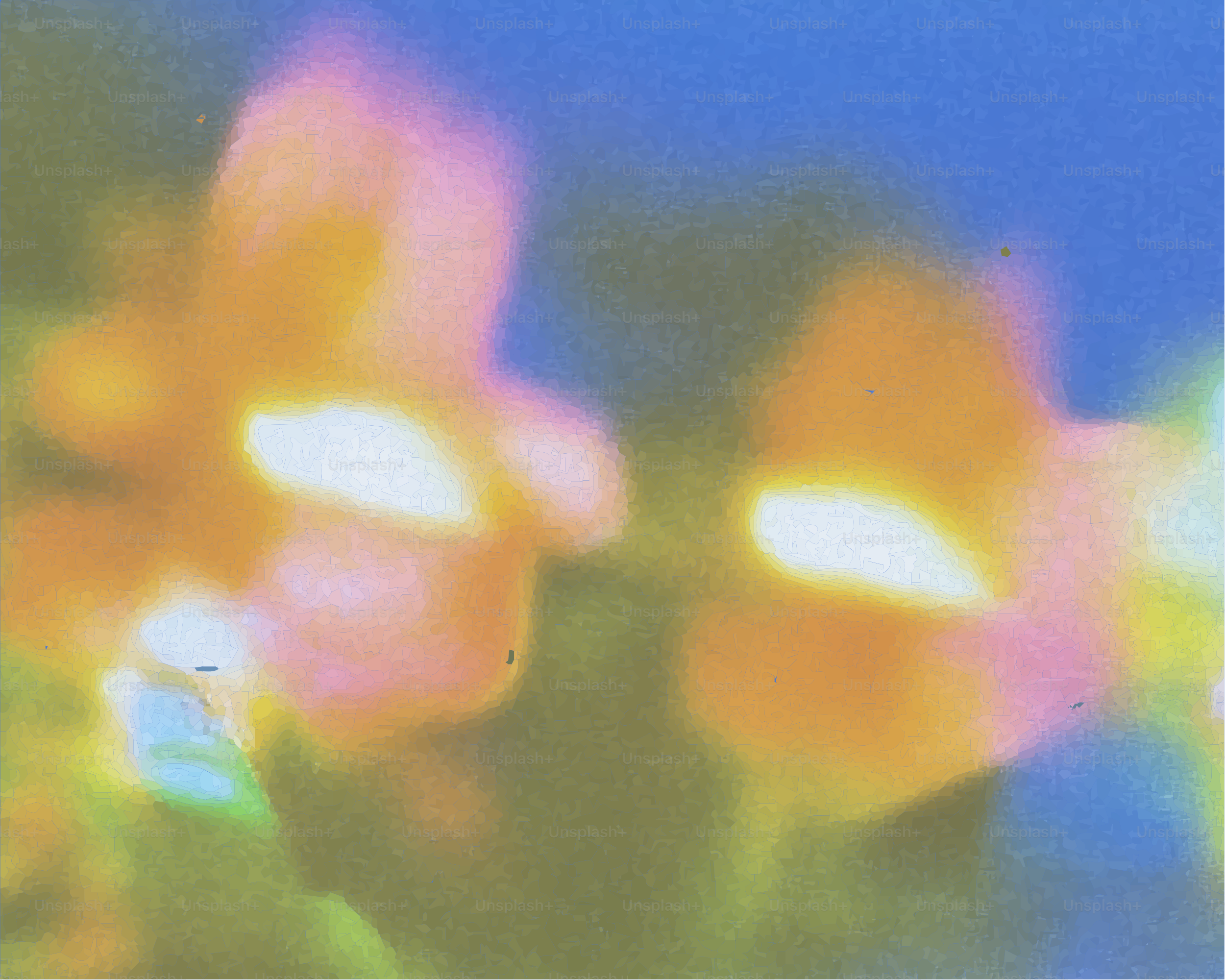 Two blurred flowers bloom against a blue background.