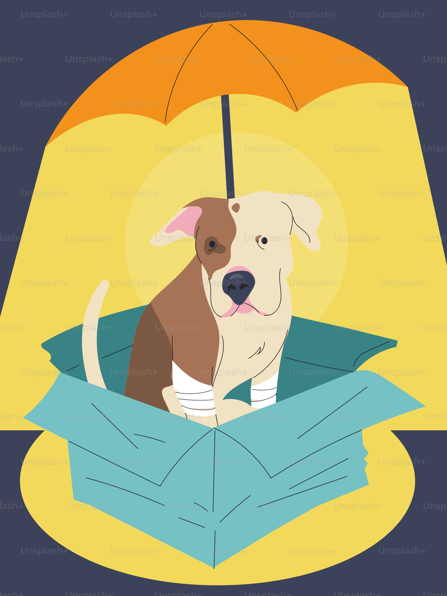 Dog shelters under an umbrella in a cardboard box.