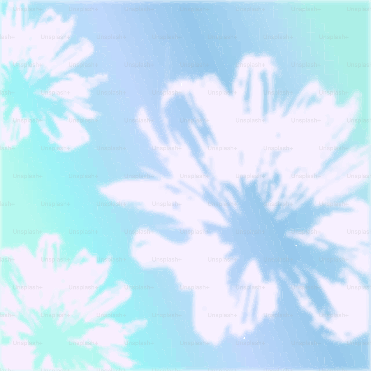 White flowers bloom against a blue and green background.