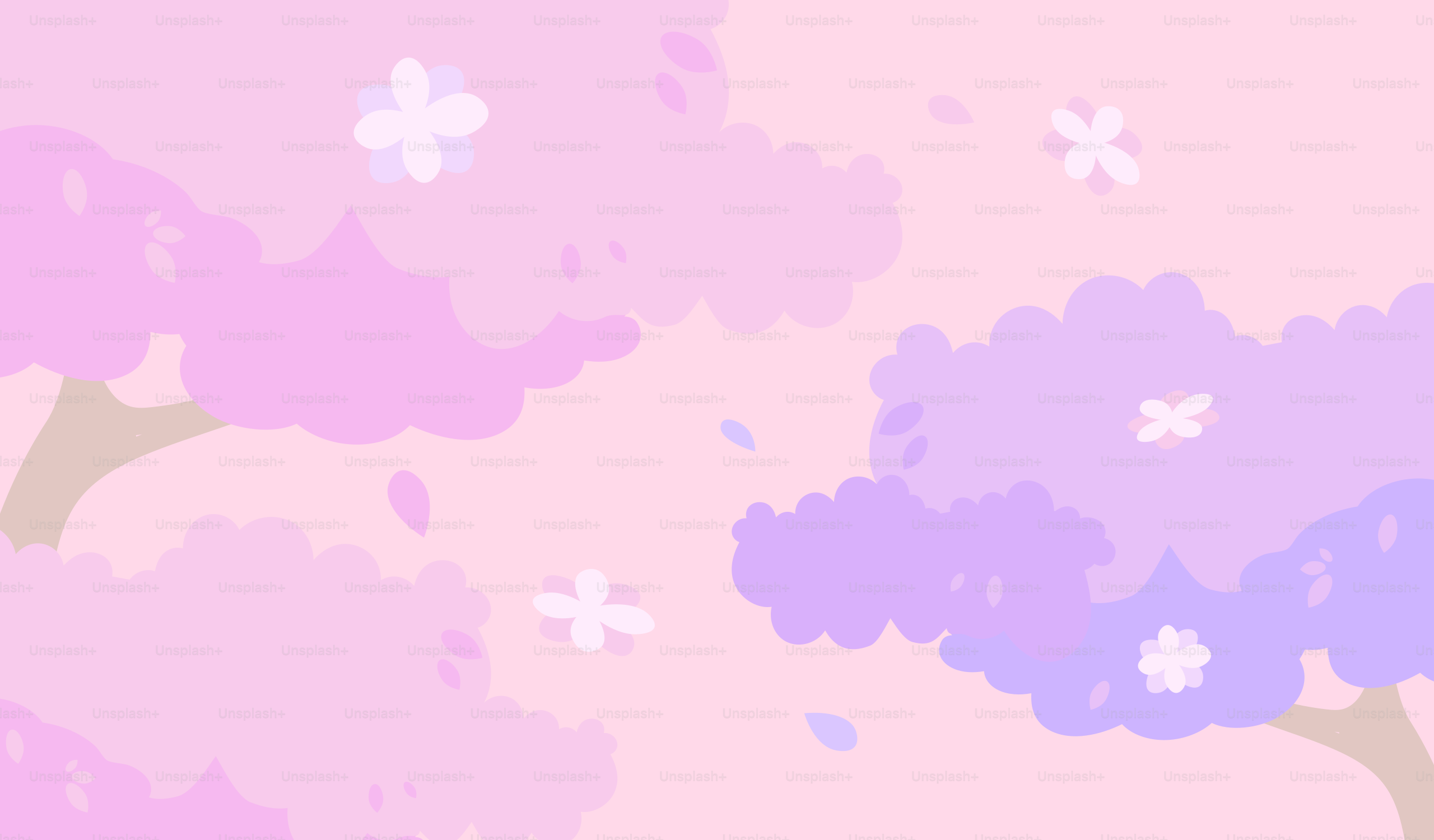 A cerejeira floresce em tons de rosa e roxo sonhadores.